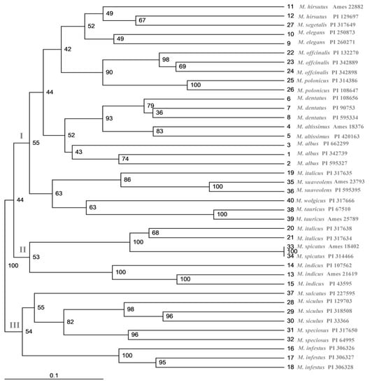 Plants | Free Full-Text | Genome-Wide Identification and Development of LTR  Retrotransposon-Based Molecular Markers for the Melilotus Genus | HTML