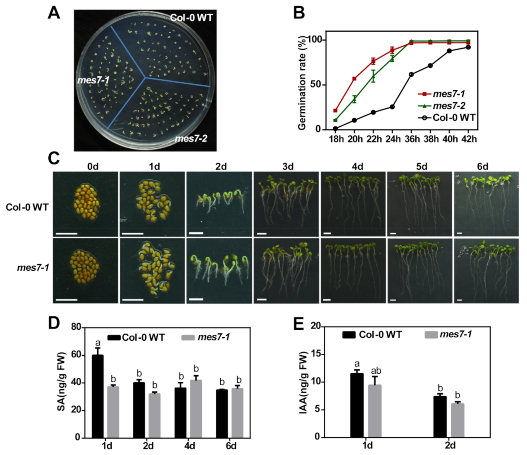 Plants 10 00903 g003 Plants 10 00903 g003