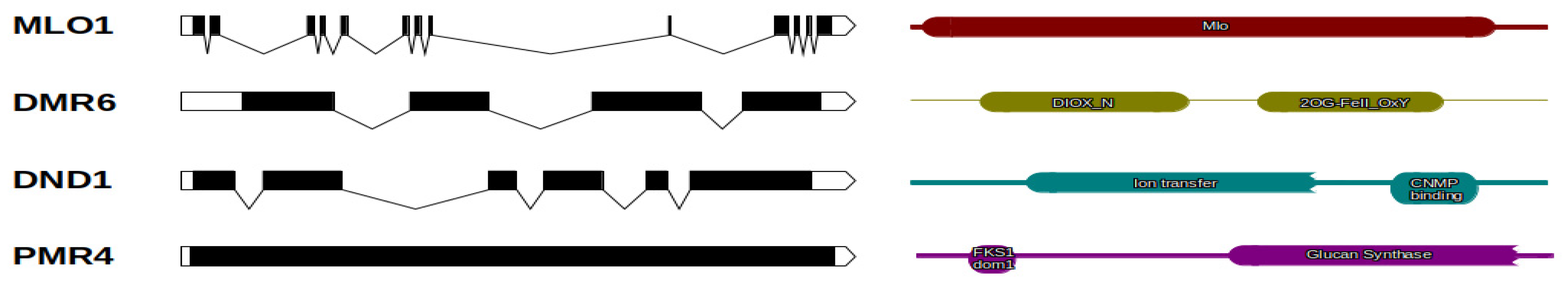 Plants 10 00913 g001