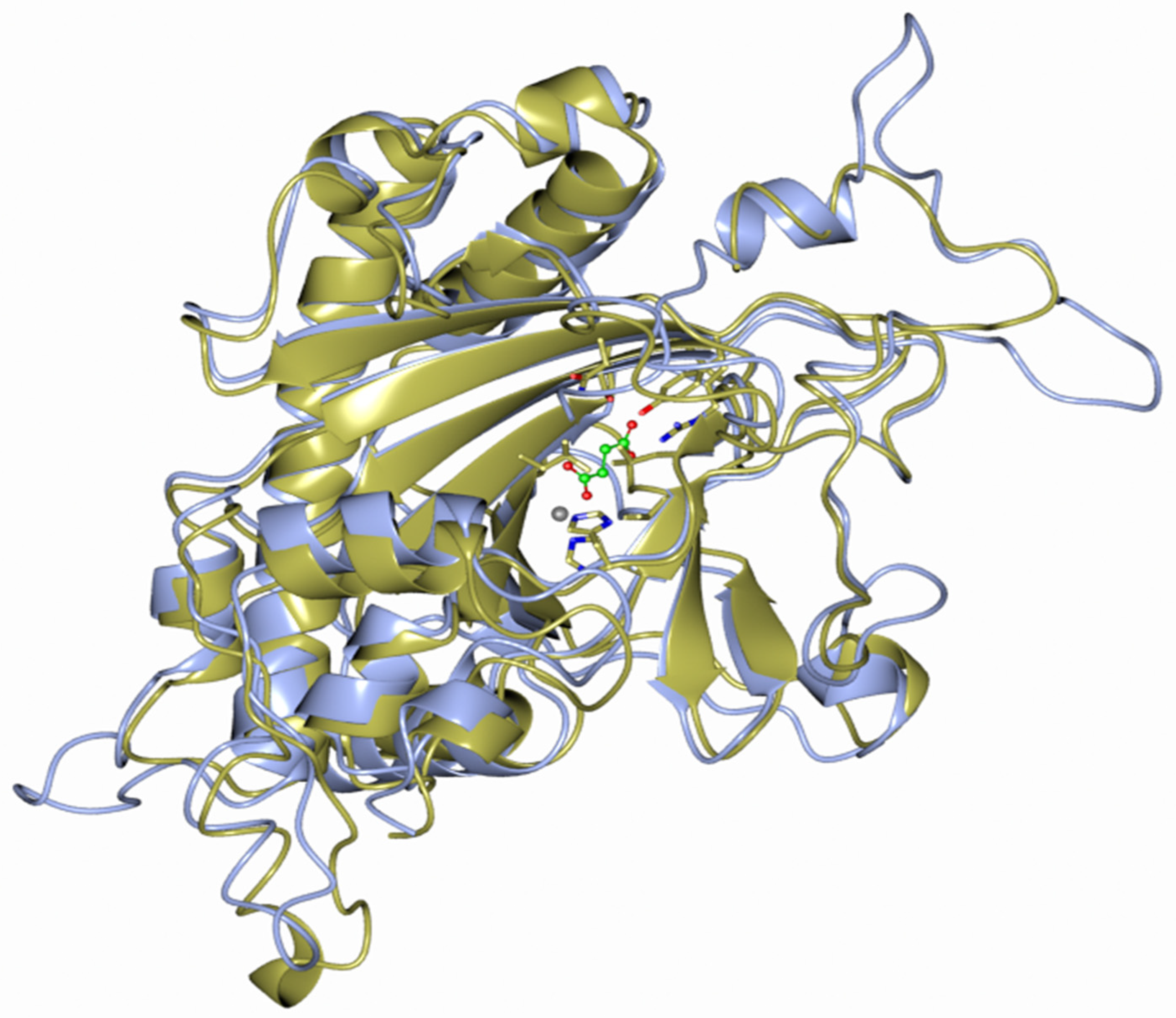 Plants 10 00913 g003