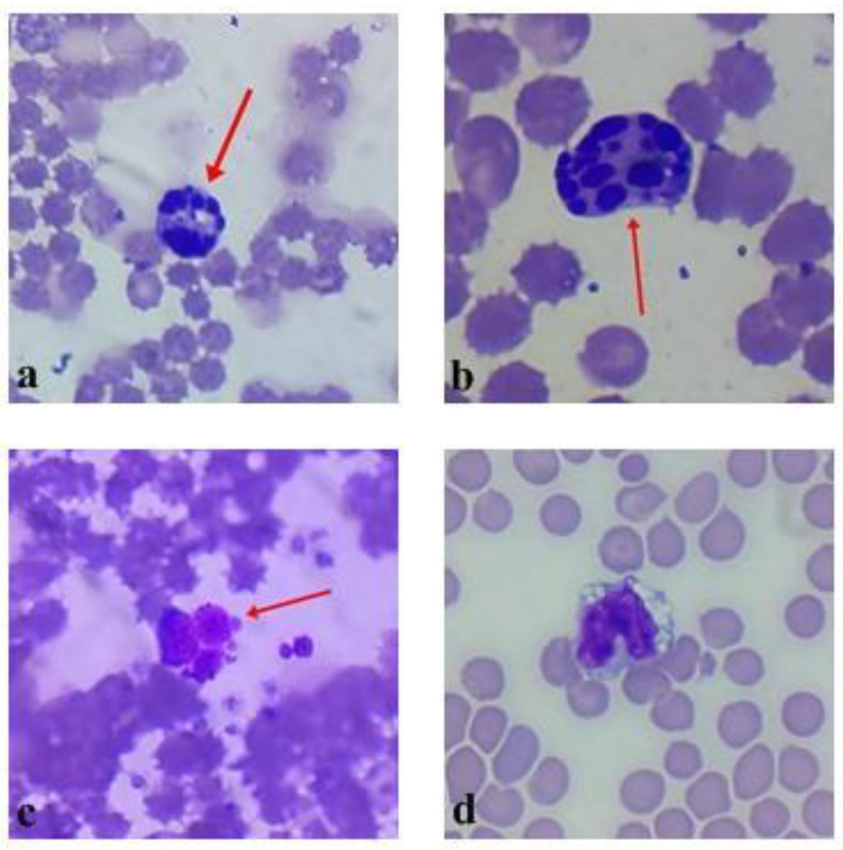 Plants 10 00936 g003