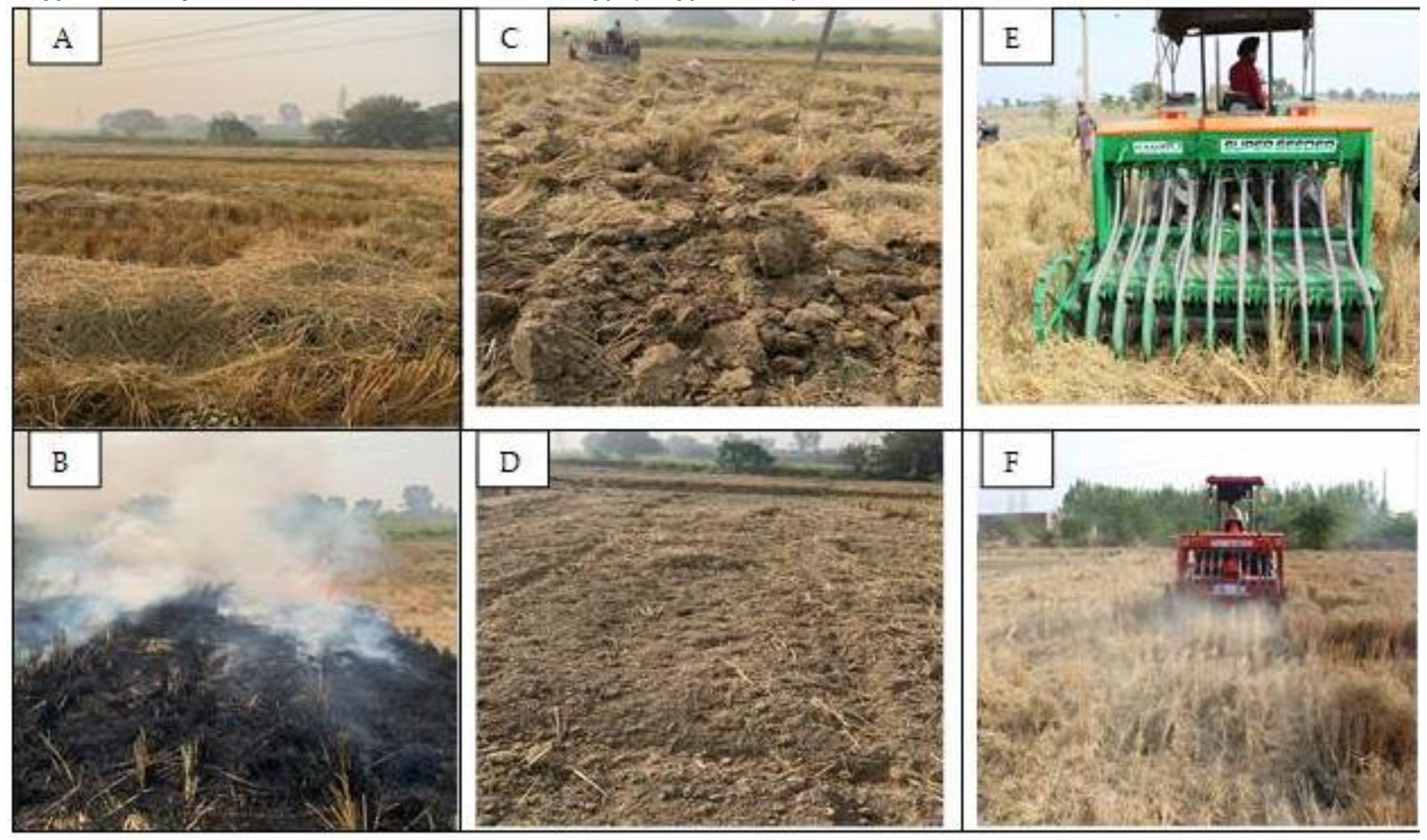 Herbicide options for effective weed management in dry direct-seeded rice  under scented rice-wheat rotation of western Indo-Gangetic Plains -  ScienceDirect