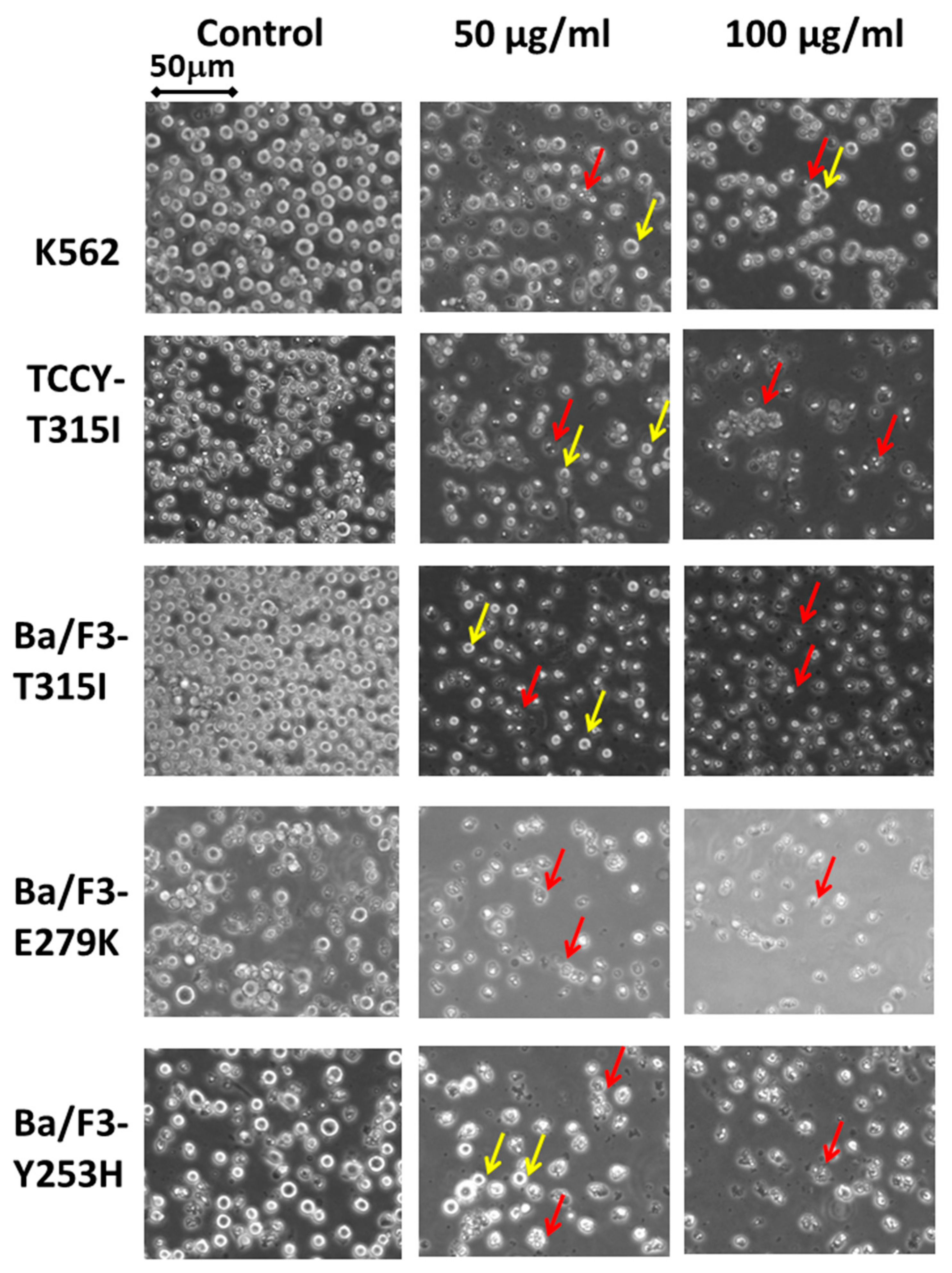 Plants 10 00980 g004 Plants 10 00980 g004