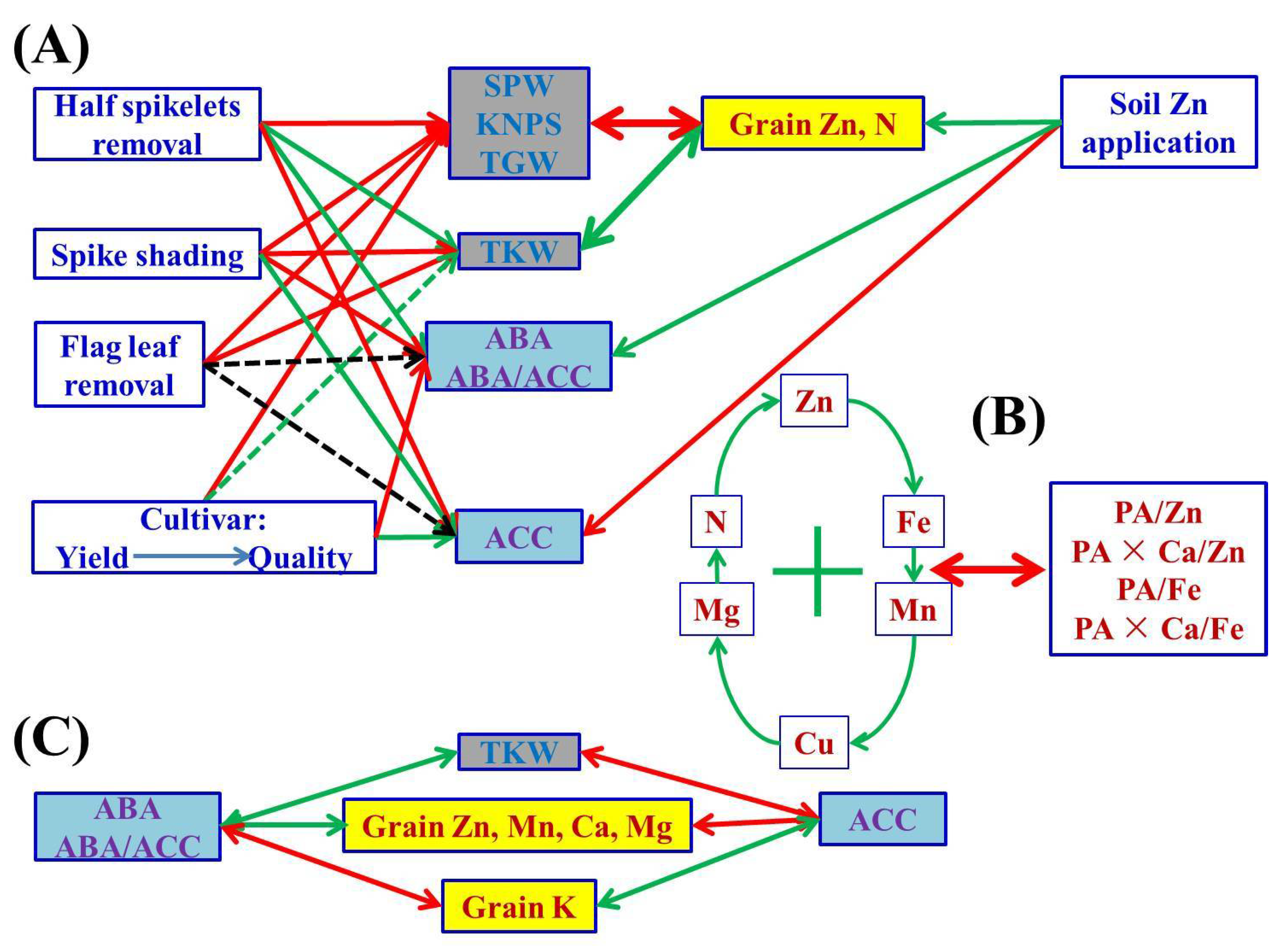 Plants 10 01032 g003 Plants 10 01032 g003