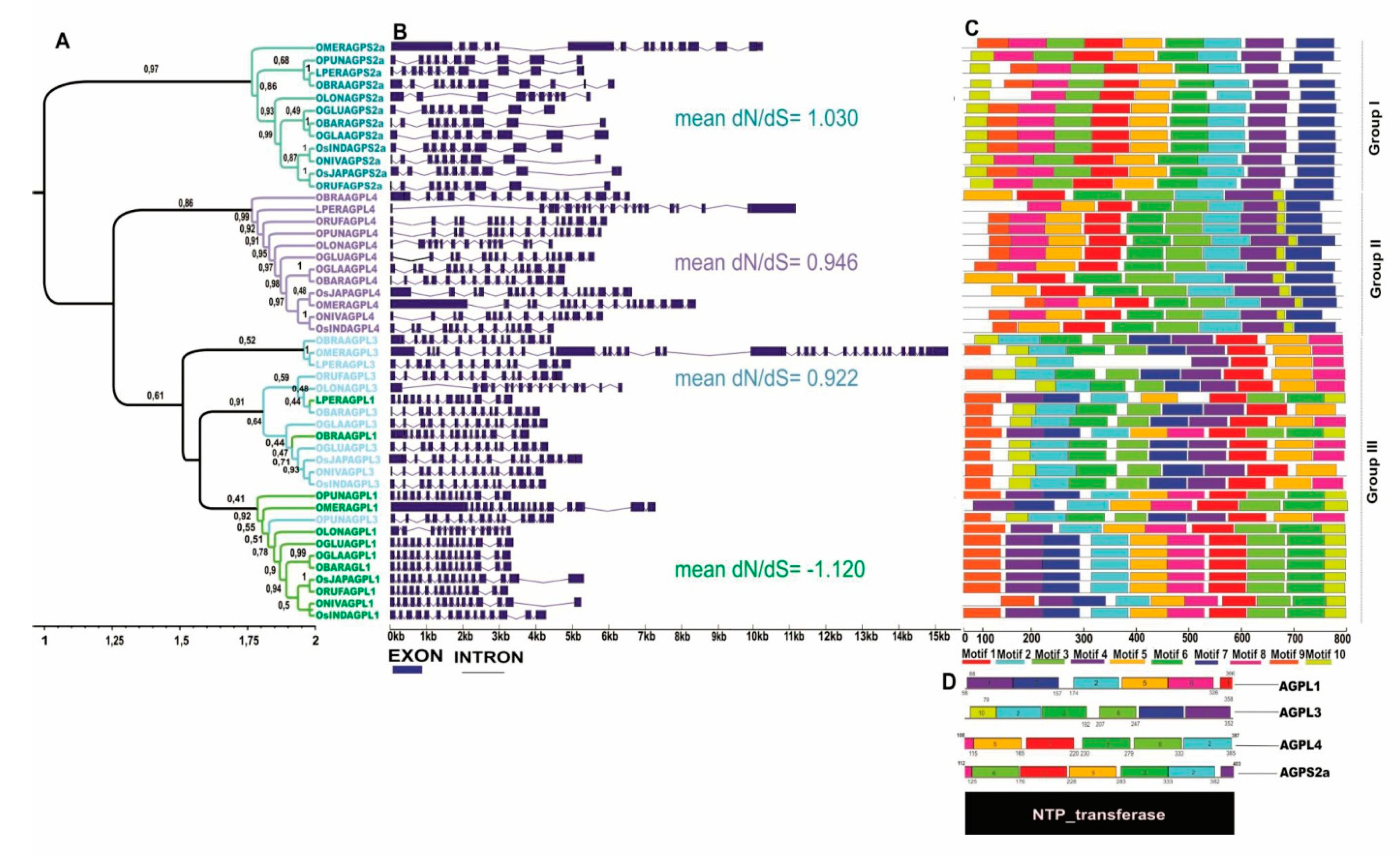 Plants 10 01057 g002 Plants 10 01057 g002