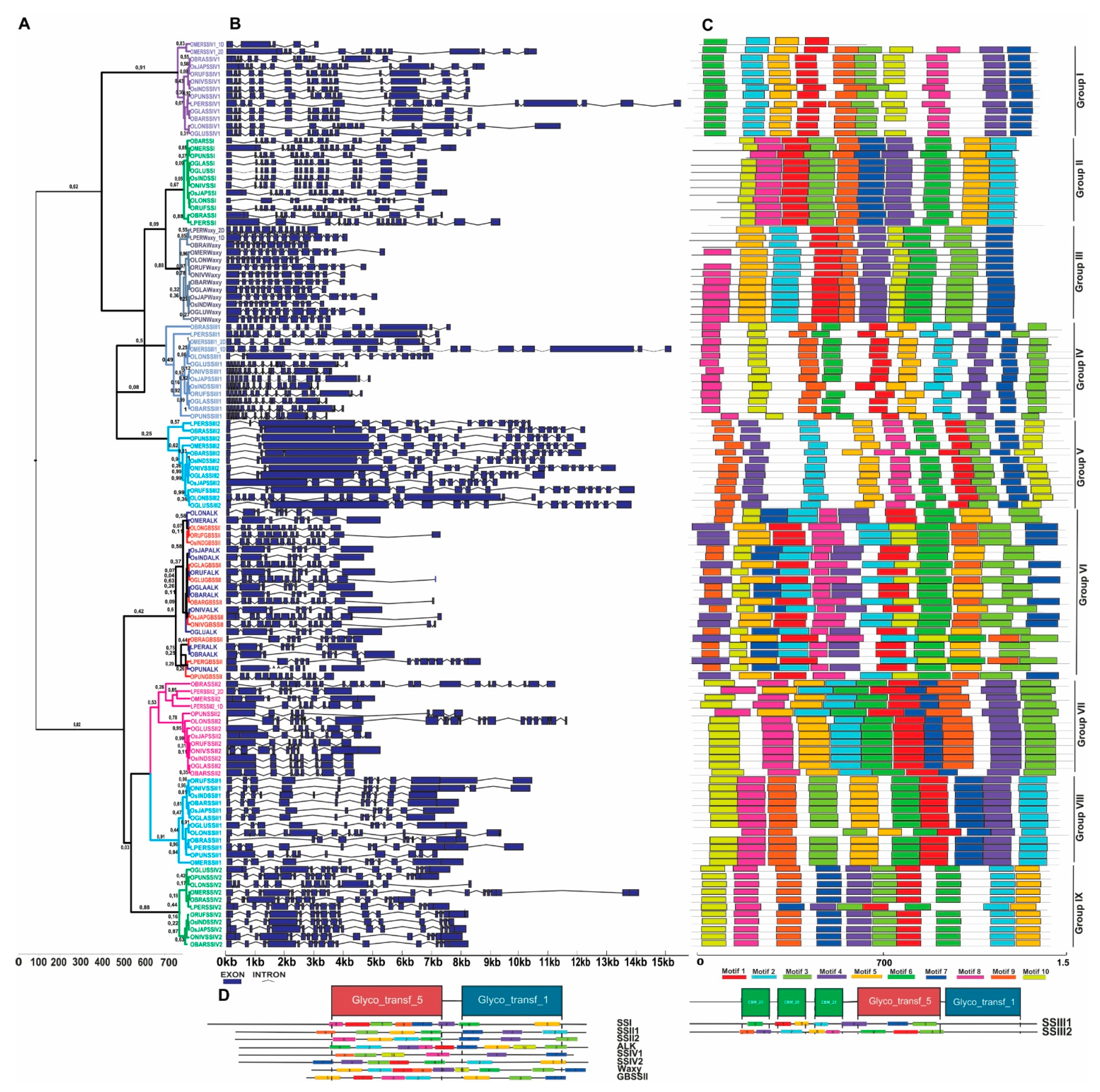 Plants 10 01057 g003 Plants 10 01057 g003
