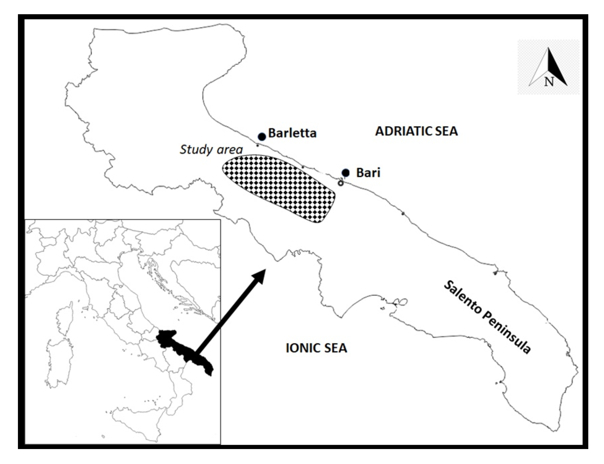Plants 10 01090 g002