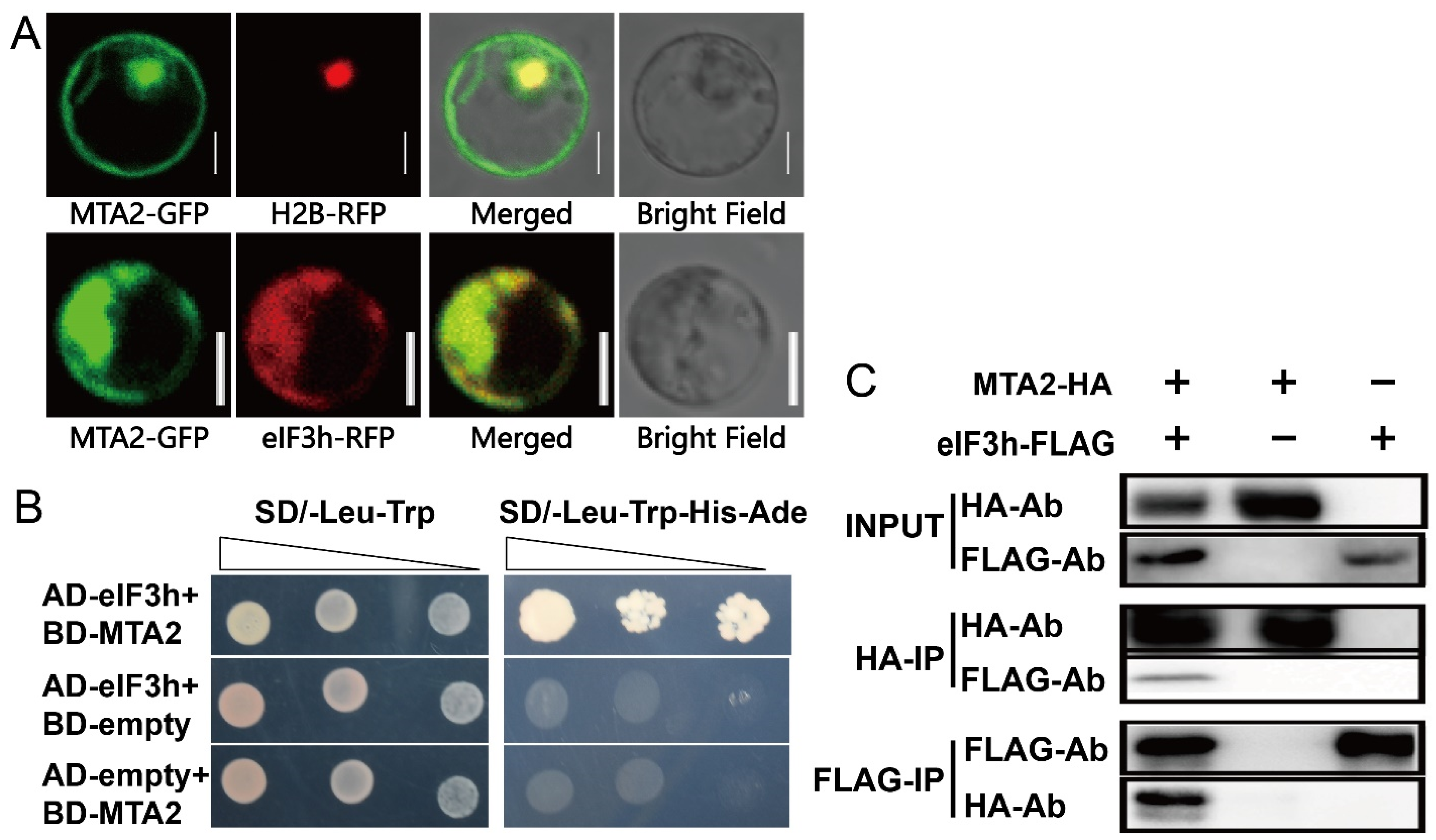 Plants 10 01101 g003