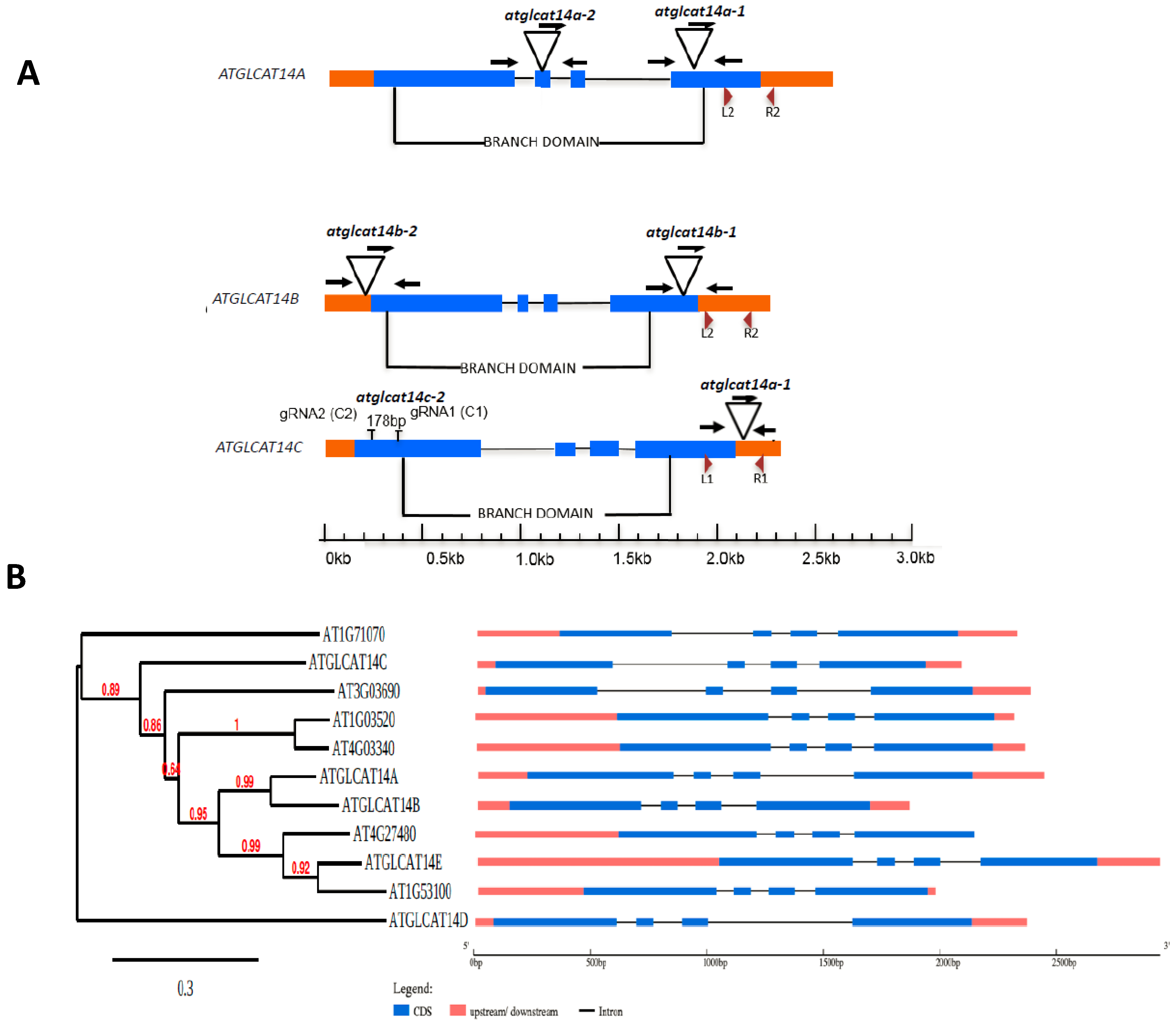 Plants 10 01172 g001a Plants 10 01172 g001a
