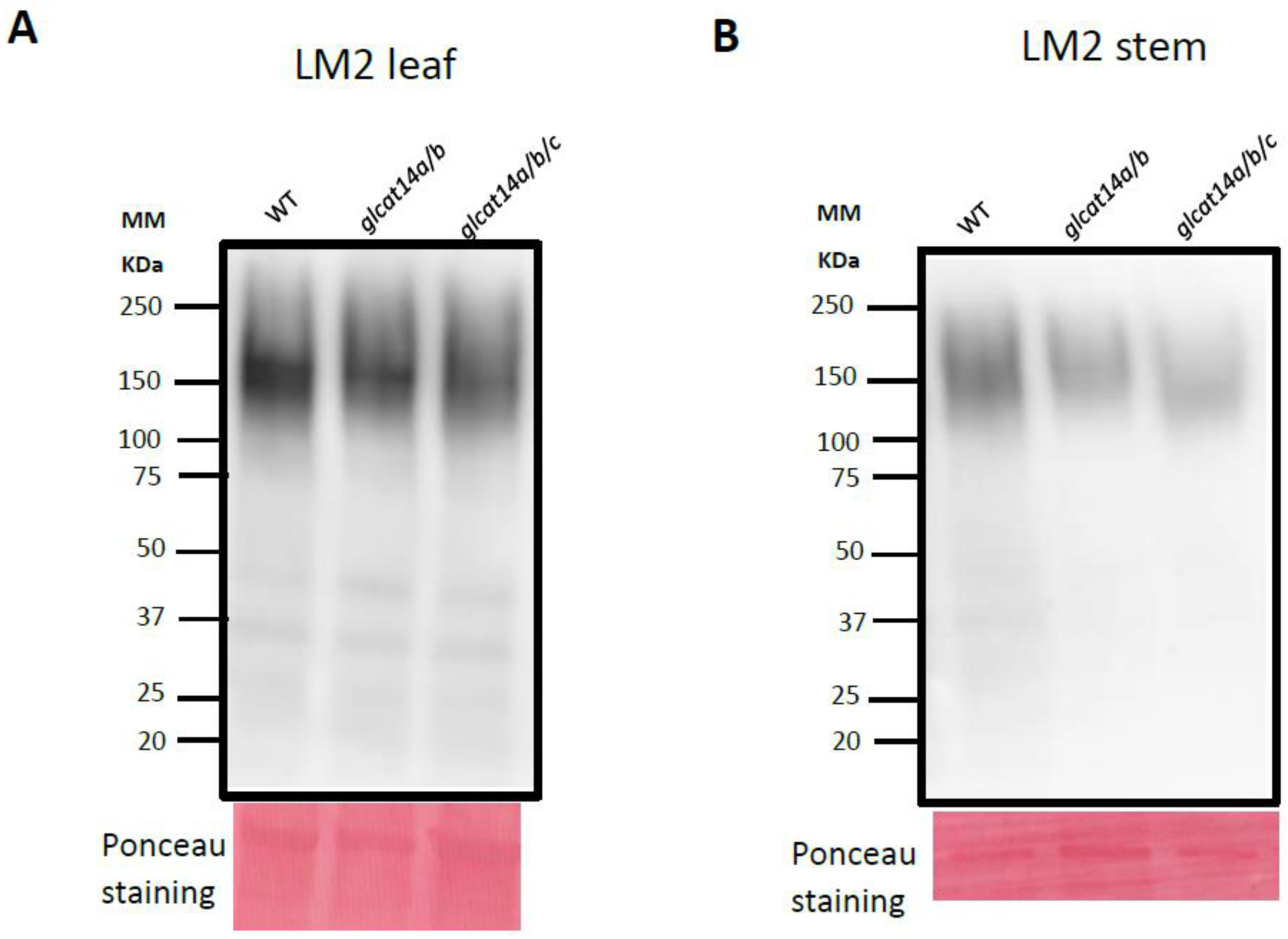 Plants 10 01172 g002 Plants 10 01172 g002