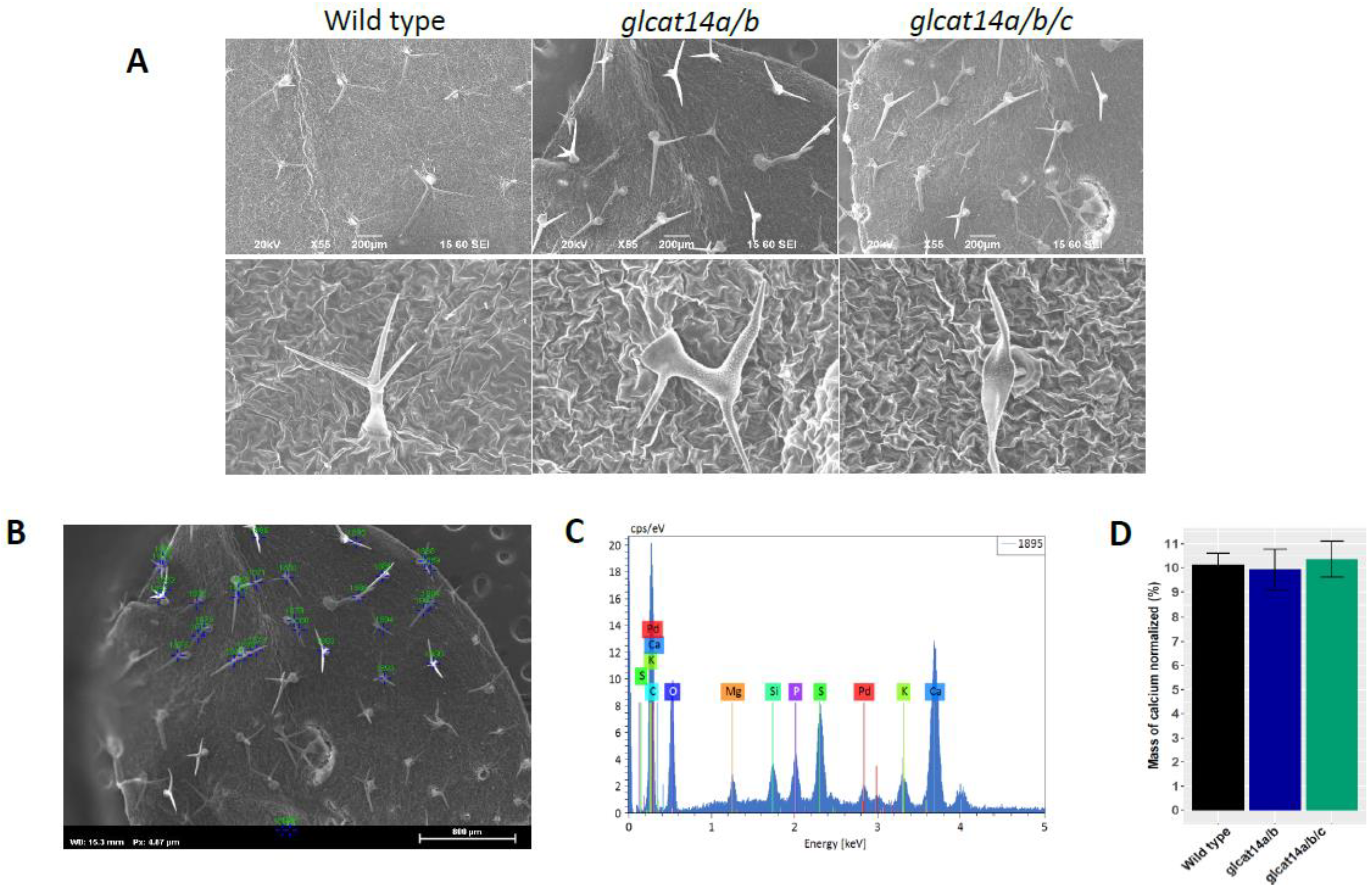 Plants 10 01172 g006 Plants 10 01172 g006