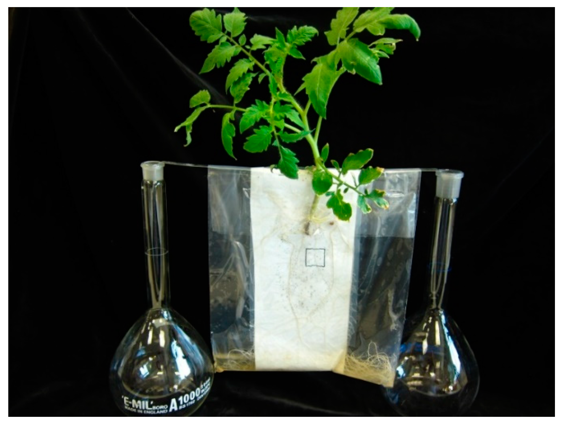 Plants 10 01182 g001 Plants 10 01182 g001