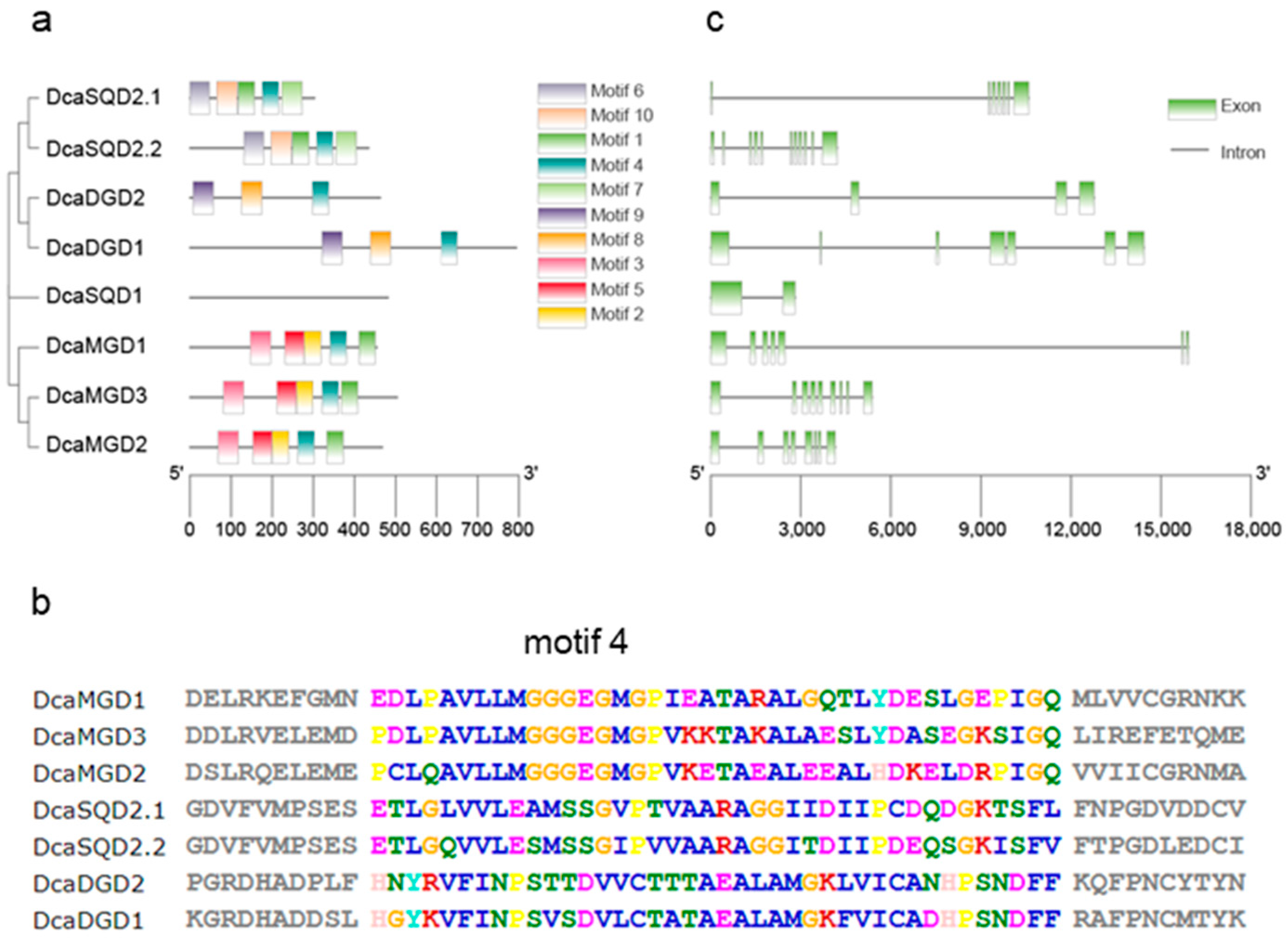 Plants 10 01204 g002