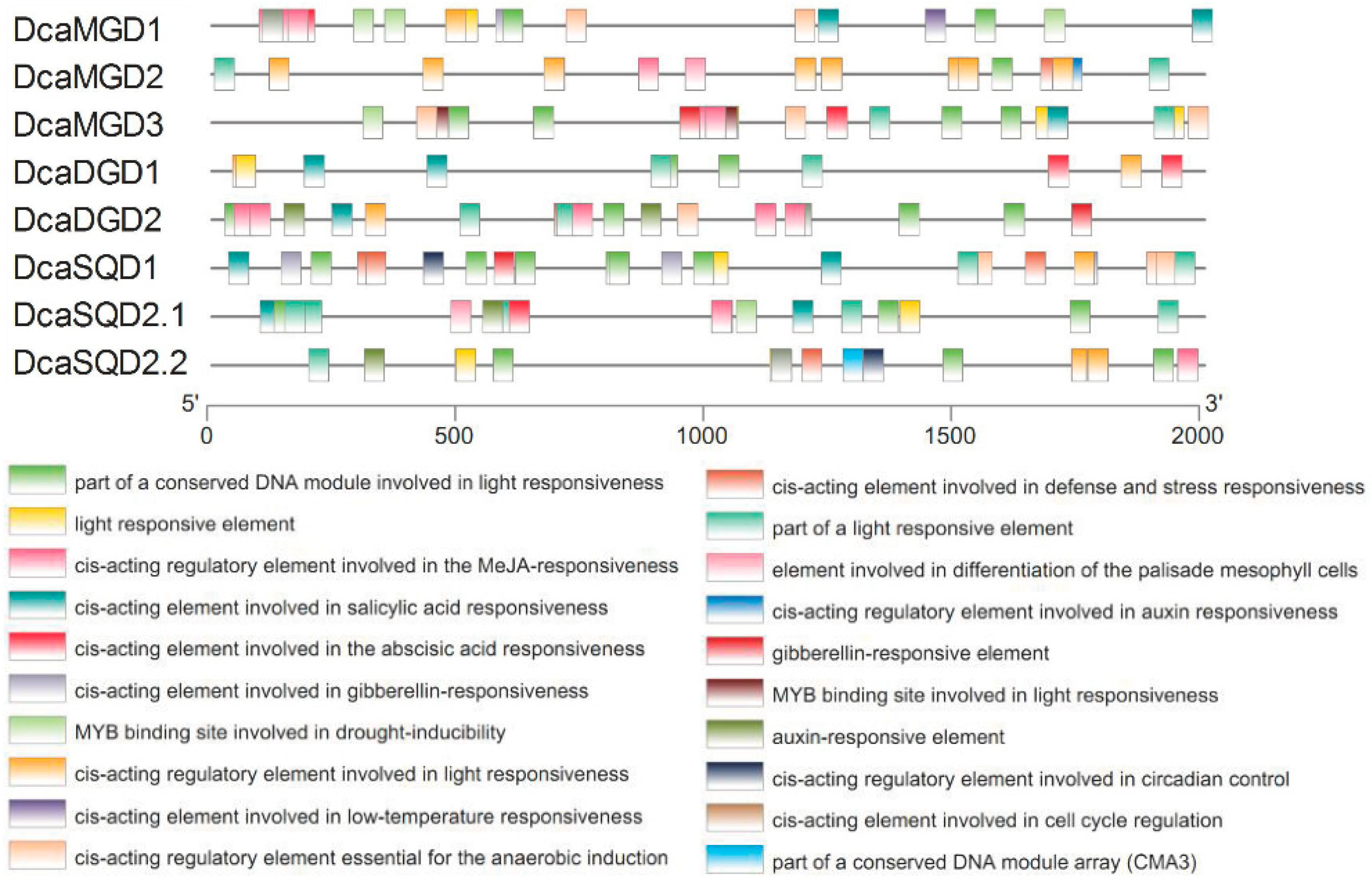 Plants 10 01204 g003