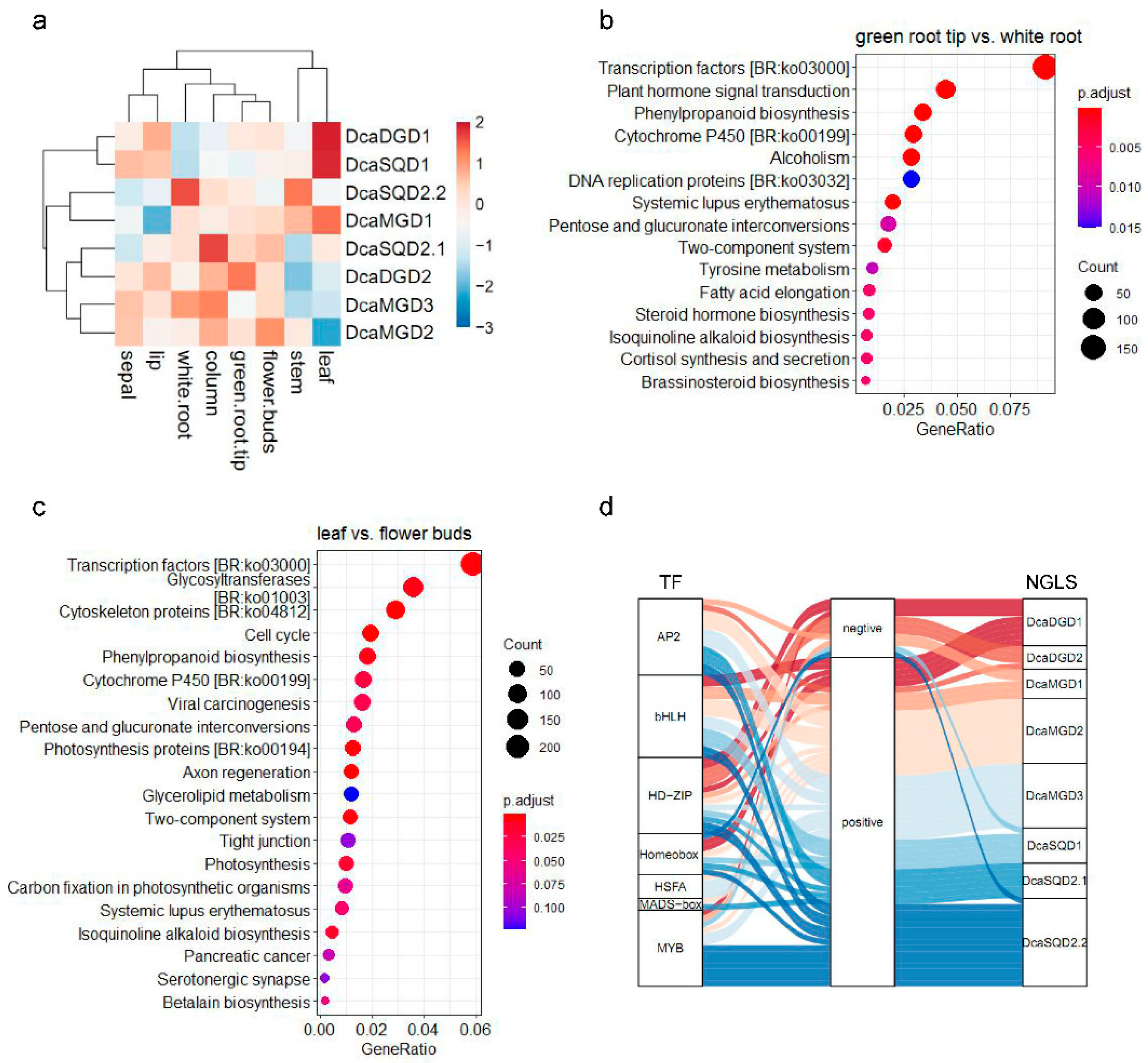 Plants 10 01204 g004