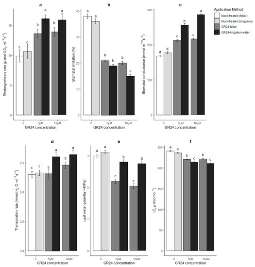 Plants Free Full Text The Potential Of The Synthetic Strigolactone Analogue Gr24 For The Maintenance Of Photosynthesis And Yield In Winter Wheat Under Drought Investigations On The Mechanisms Of Action And