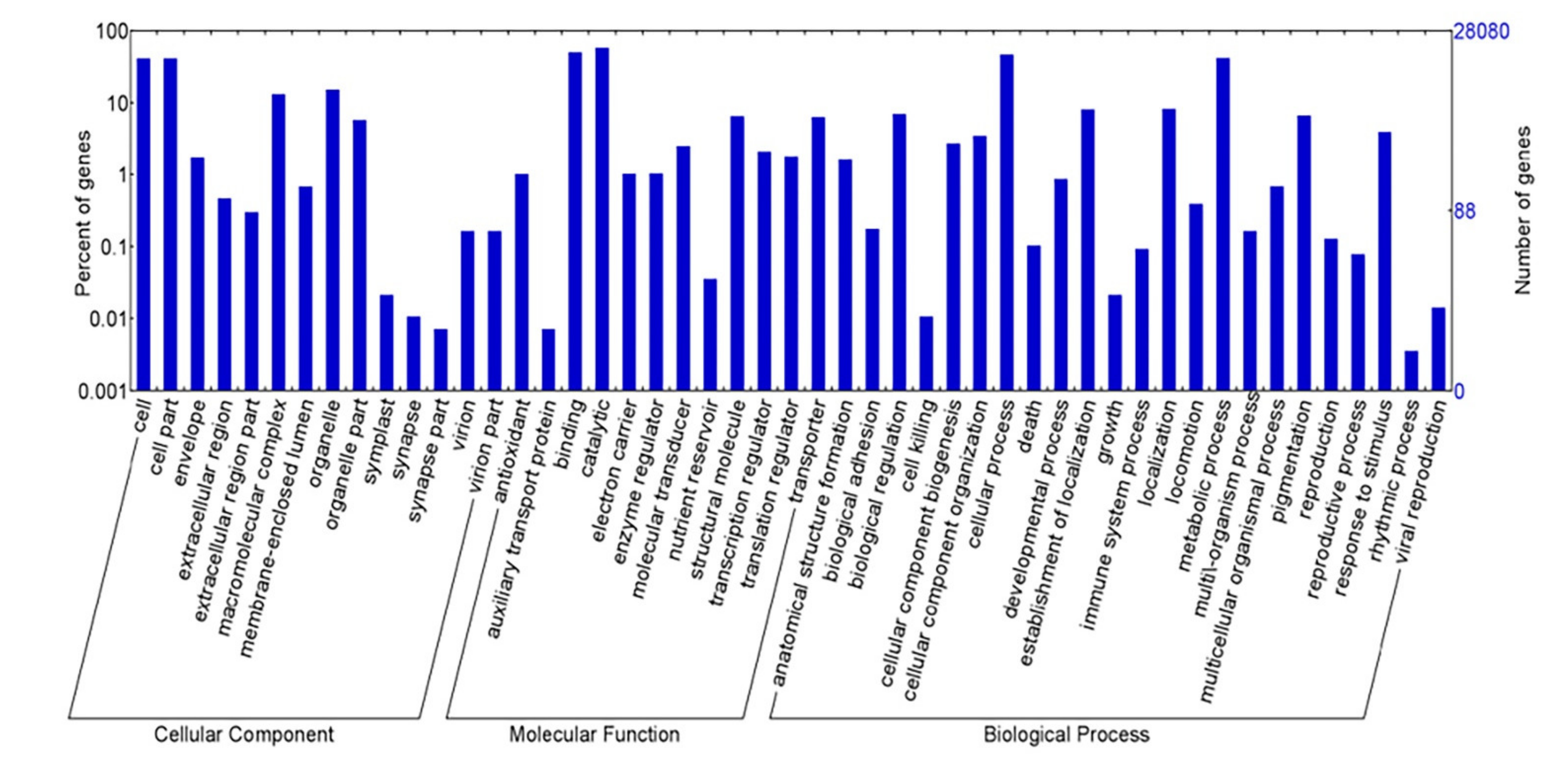 Frontiers  Carrageenan From Kappaphycus alvarezii (Rhodophyta,  Solieriaceae): Metabolism, Structure, Production, and Application