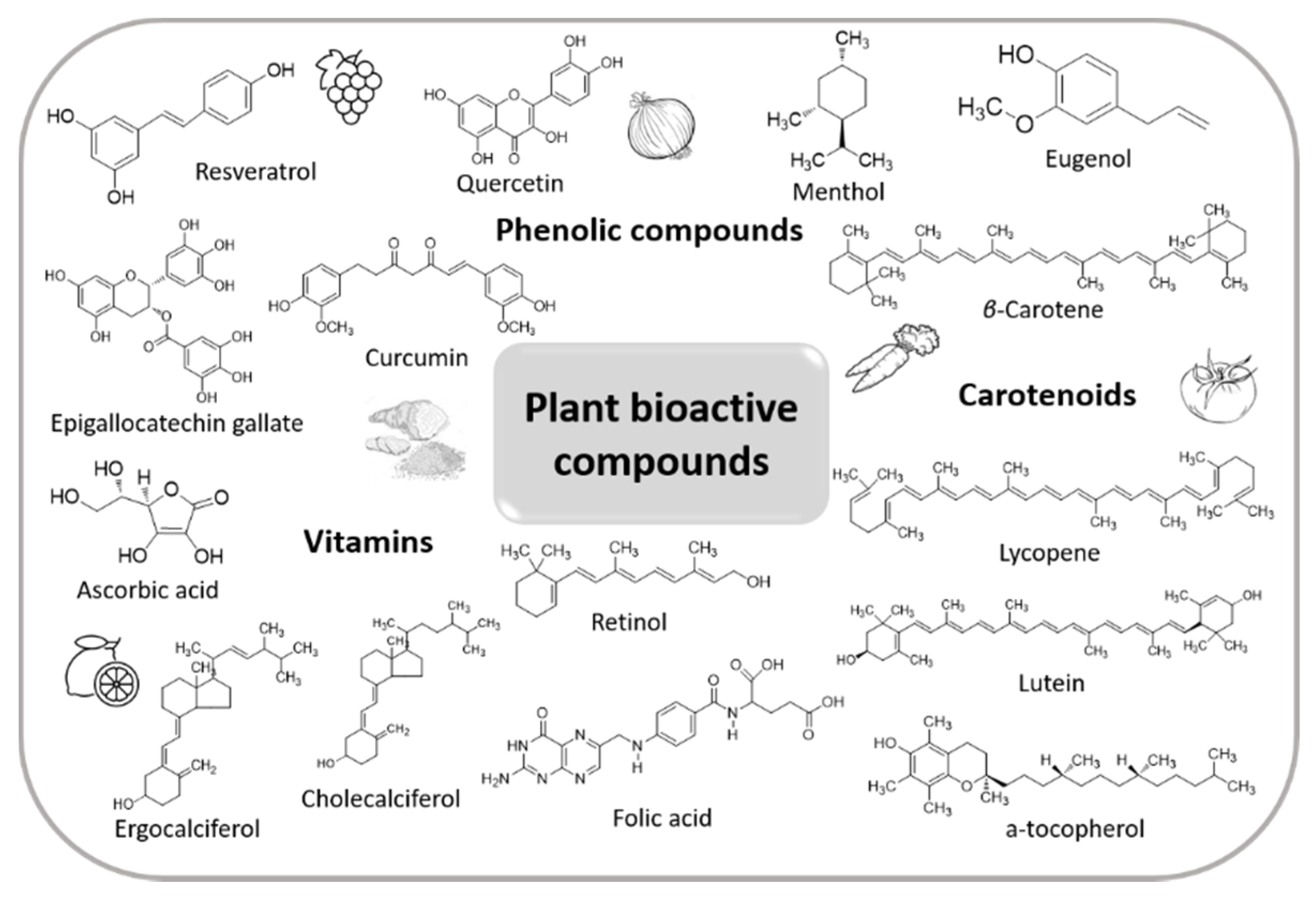 Plants | Free Full-Text | Innovative Delivery Systems Loaded with Plant  Bioactive Ingredients: Formulation Approaches and Applications | HTML