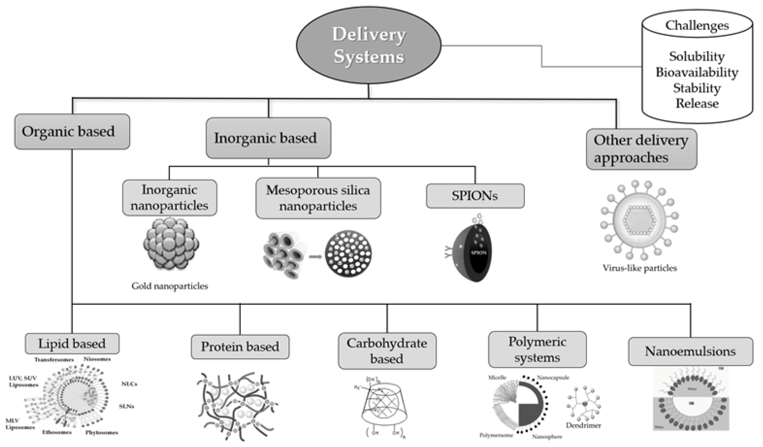 Plants 10 01238 g002