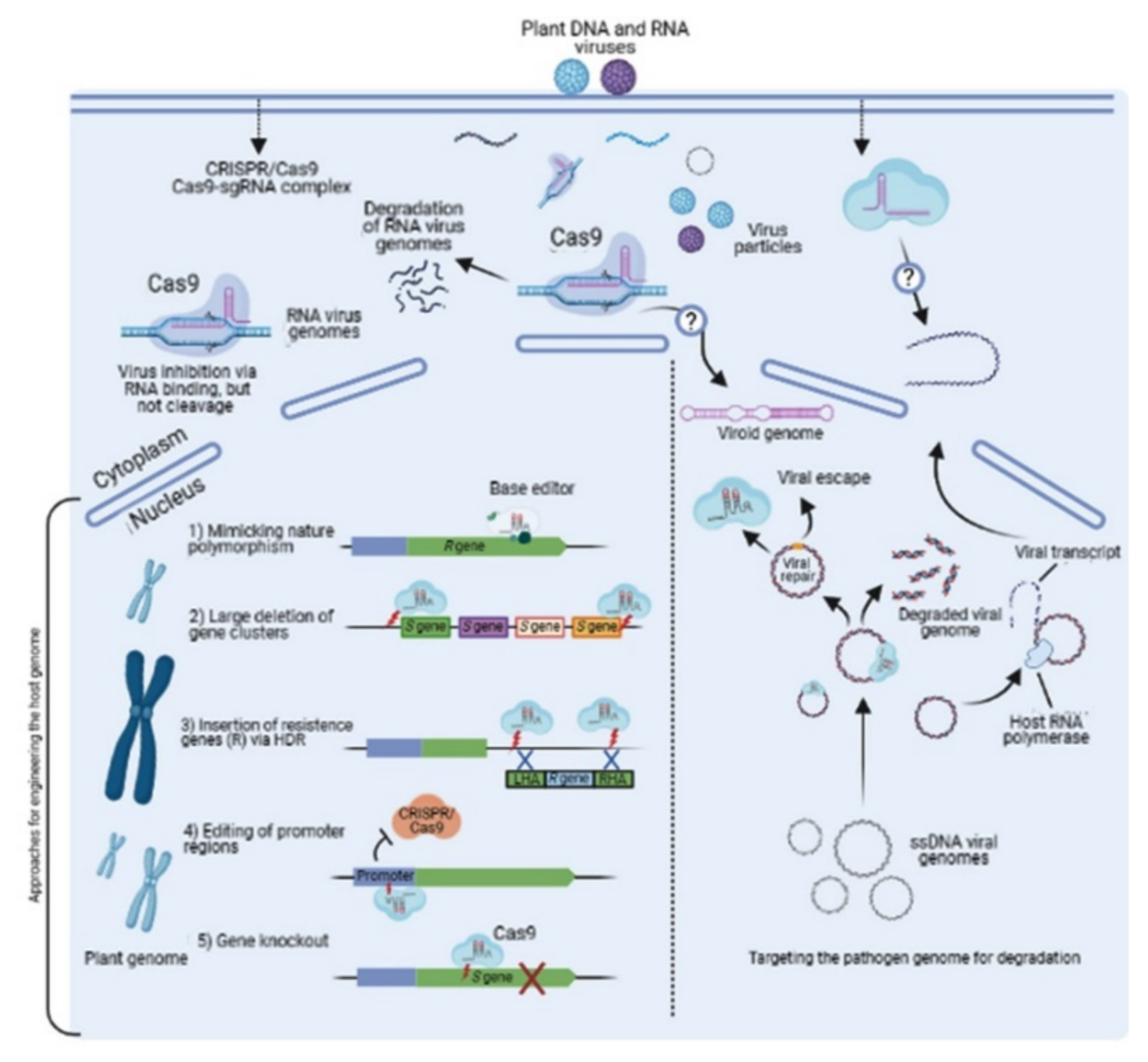 Plants 10 01264 g003