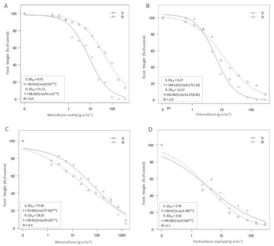 Plants Free Full Text Resistance Mechanism To Metsulfuron Methyl In Polypogon Fugax Html