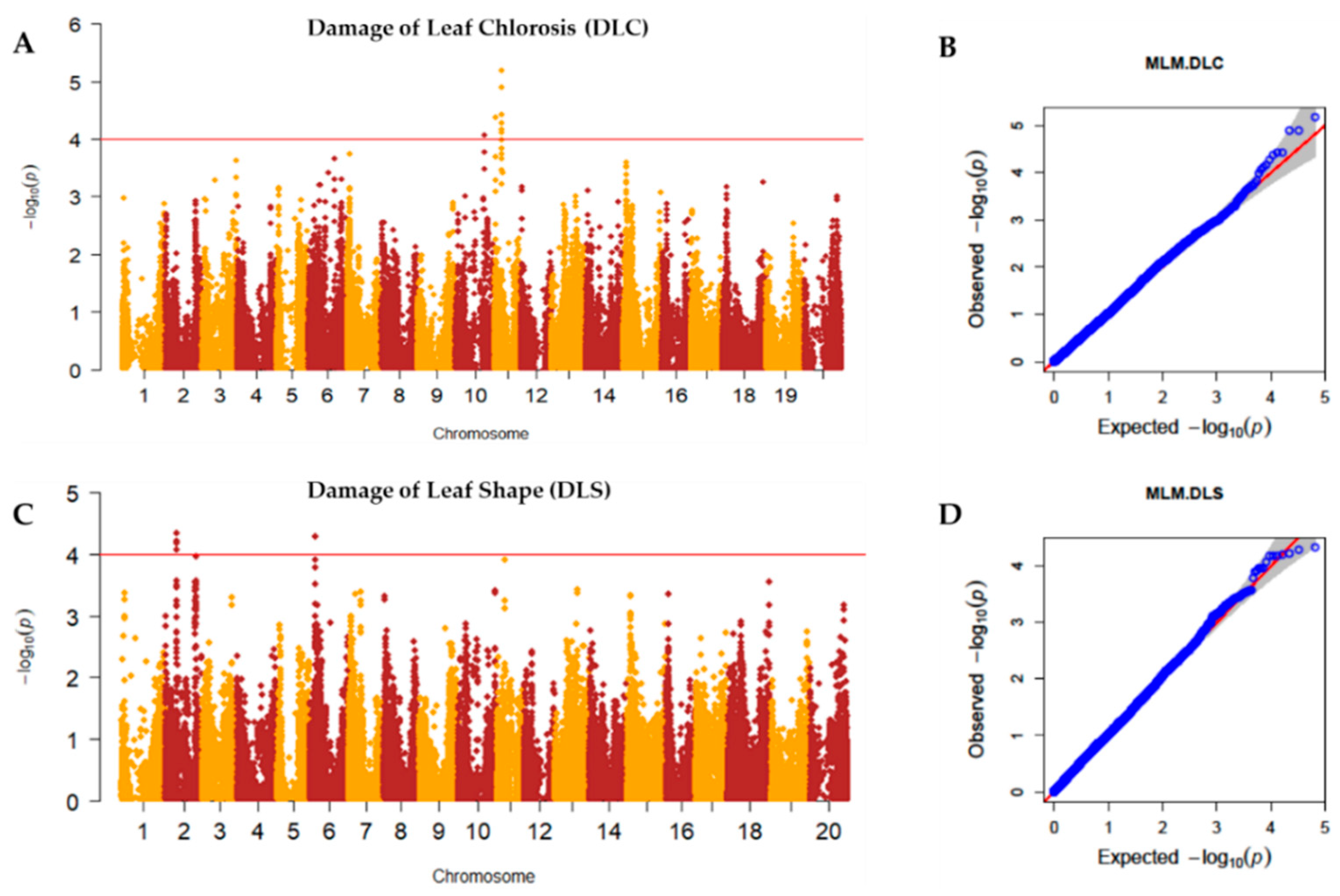 Plants 10 01335 g003 Plants 10 01335 g003