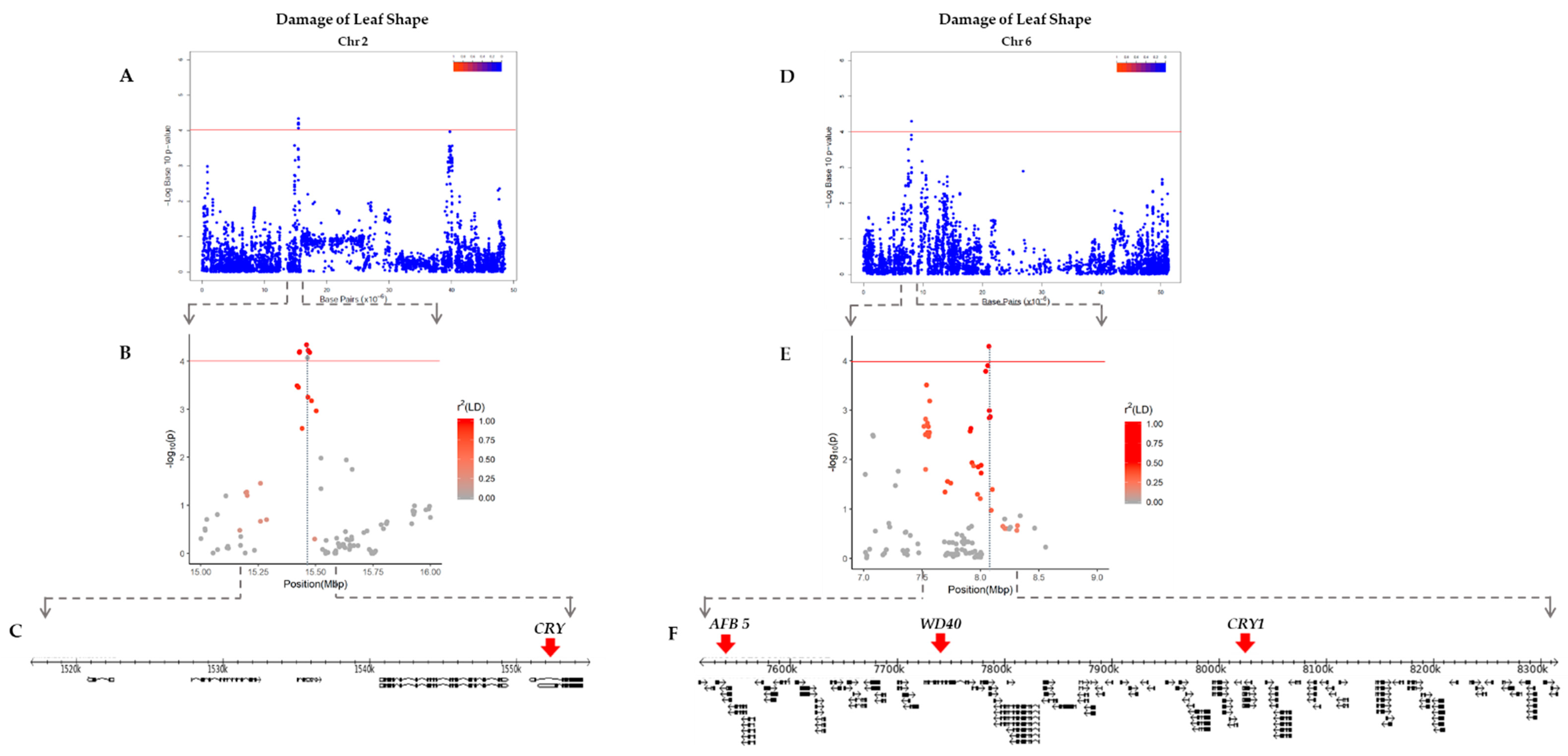 Plants 10 01335 g004 Plants 10 01335 g004