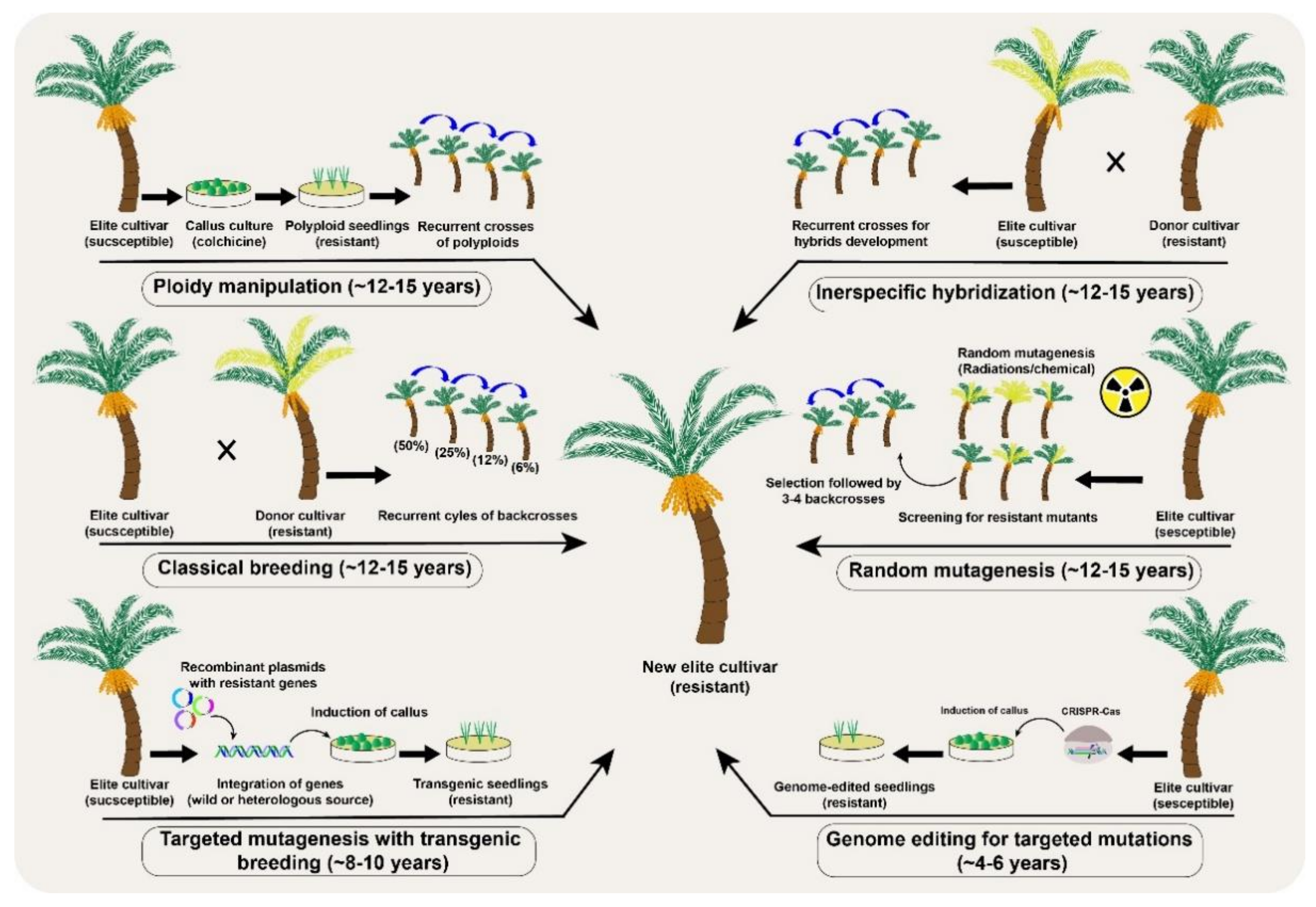 Plants 10 01347 g003