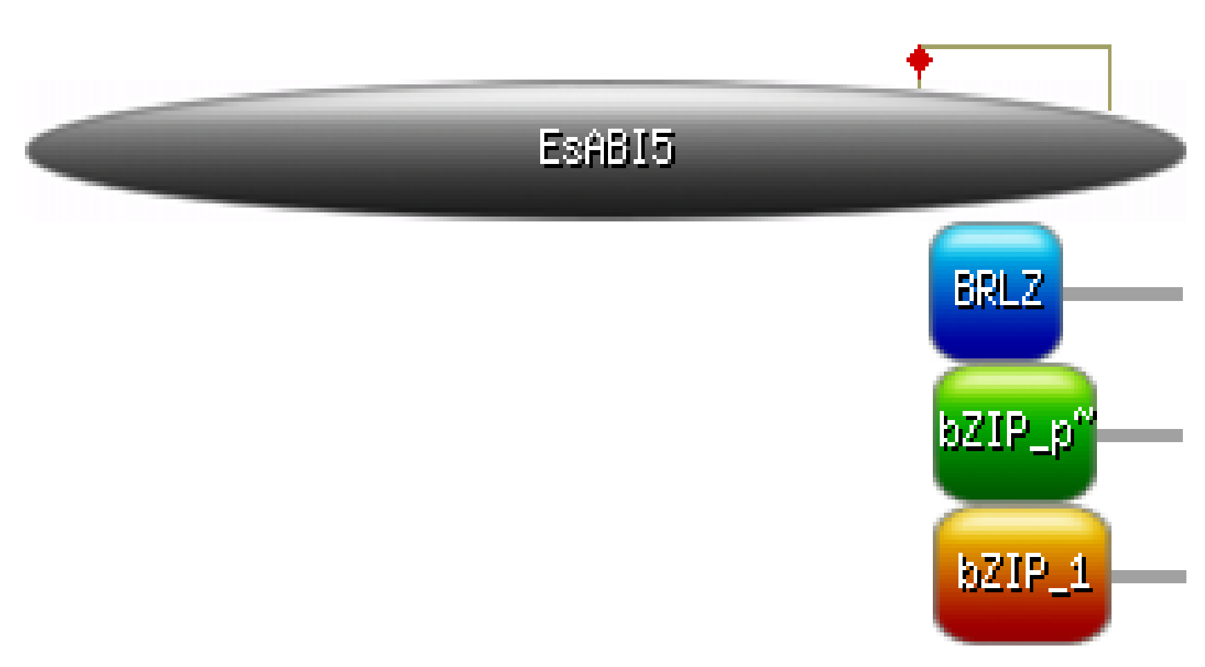 Plants 10 01351 g002