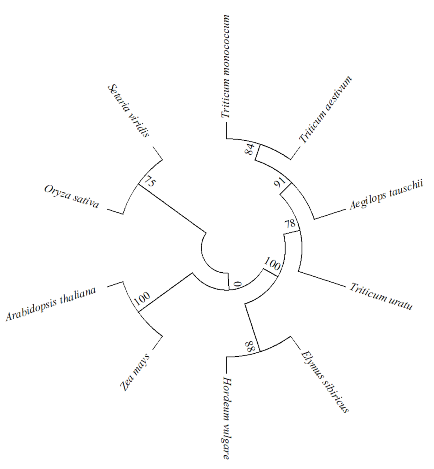 Plants 10 01351 g003