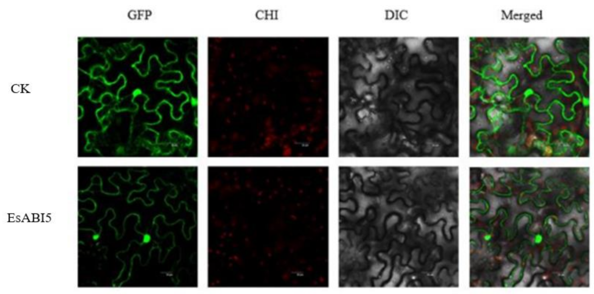 Plants 10 01351 g005