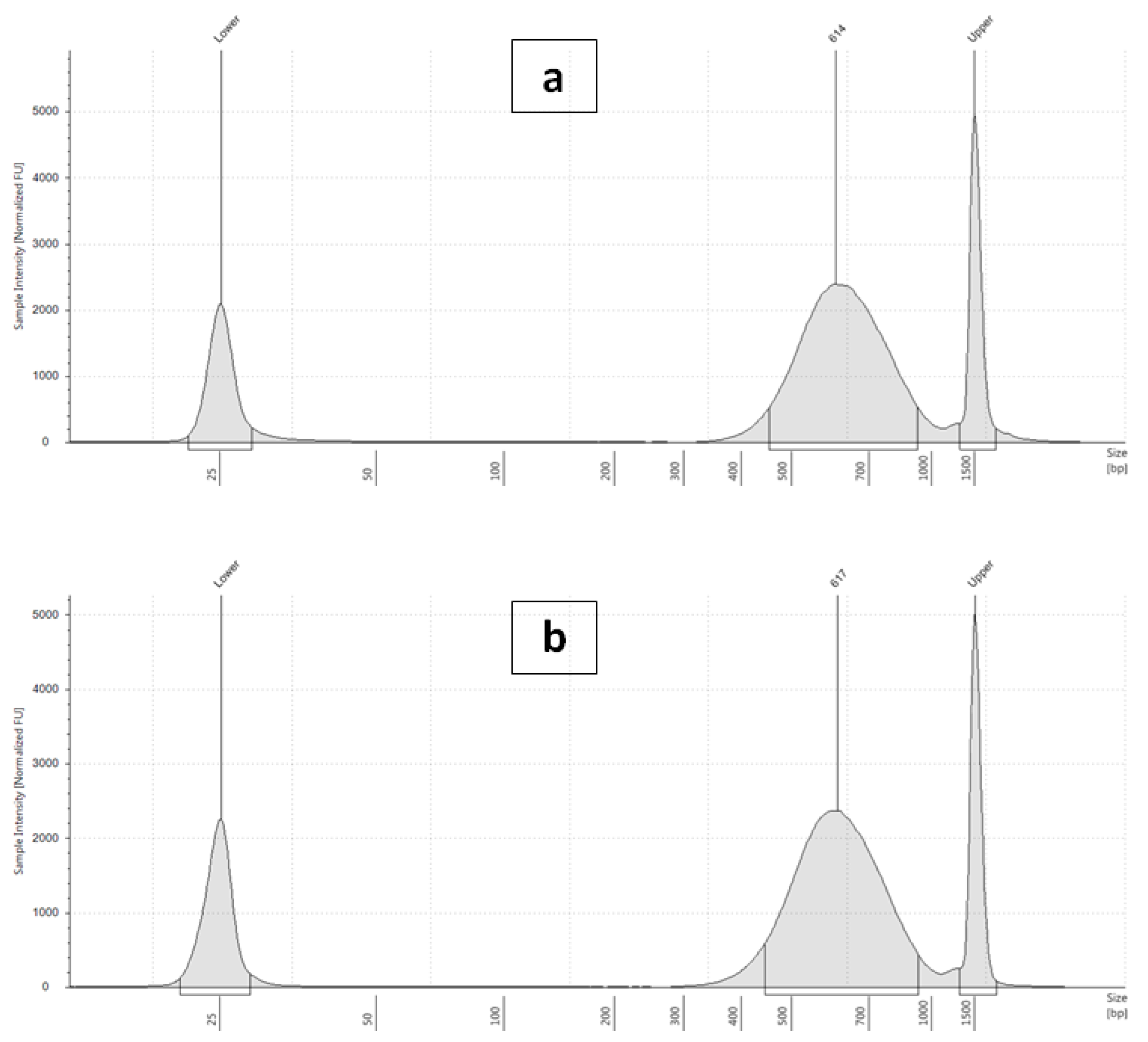 Plants 10 01362 g004