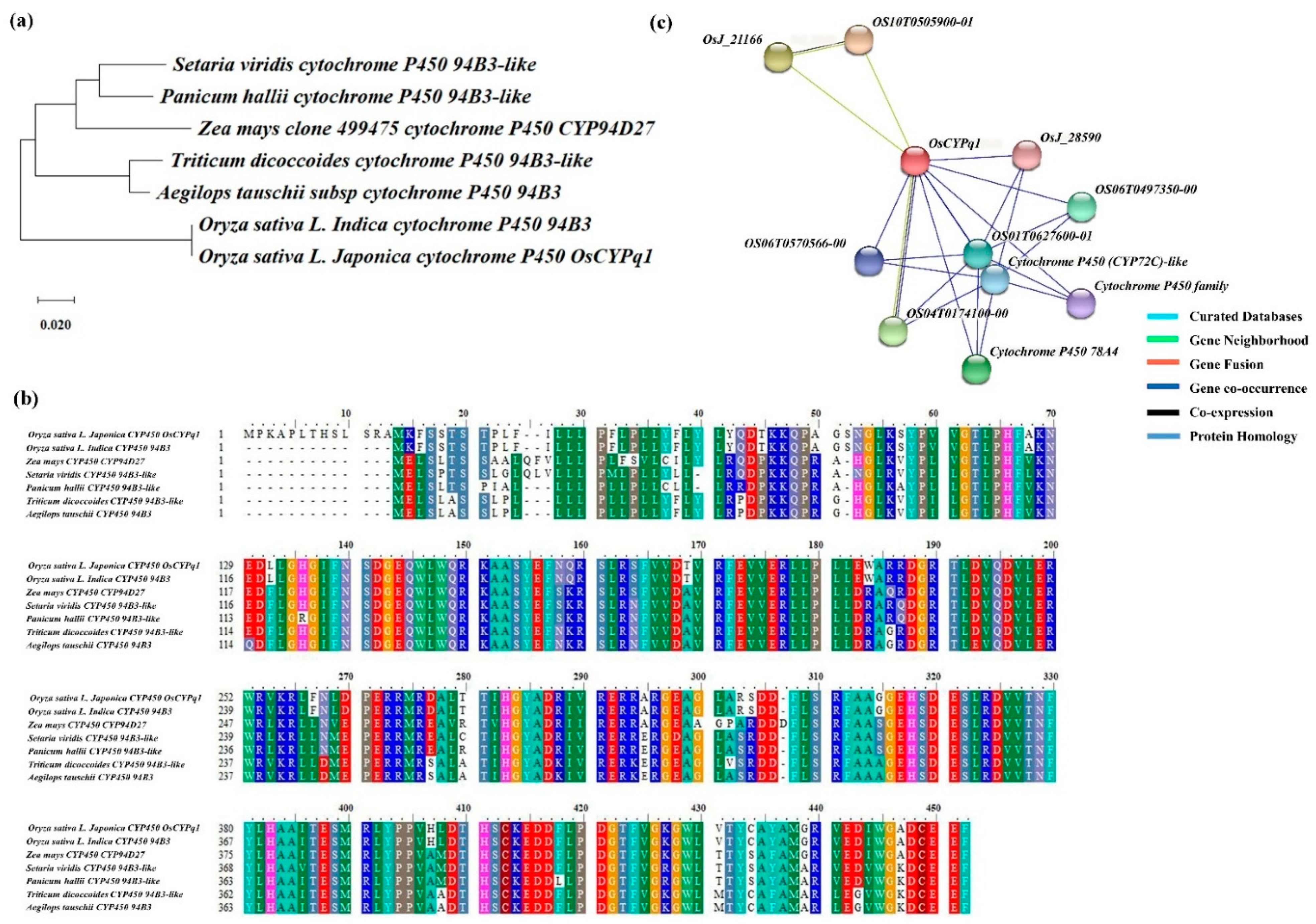 Plants 10 01369 g005