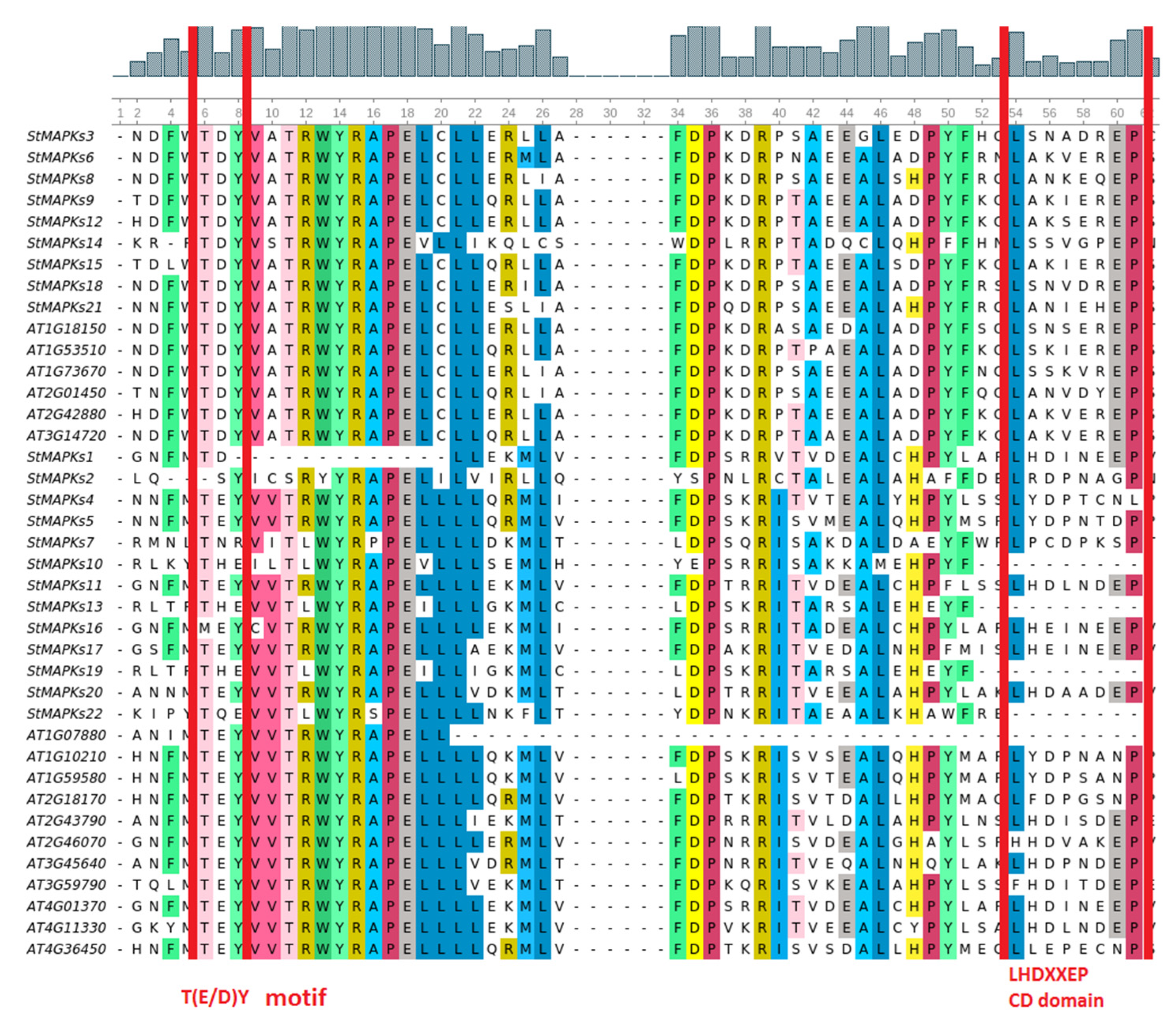 Plants 10 01371 g001