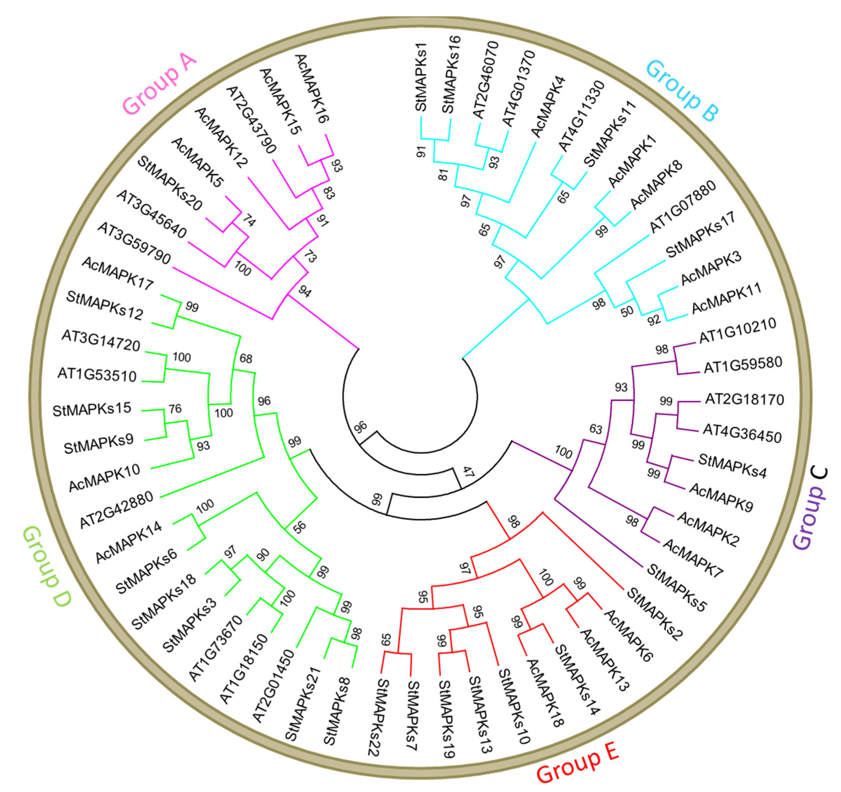 Plants 10 01371 g002