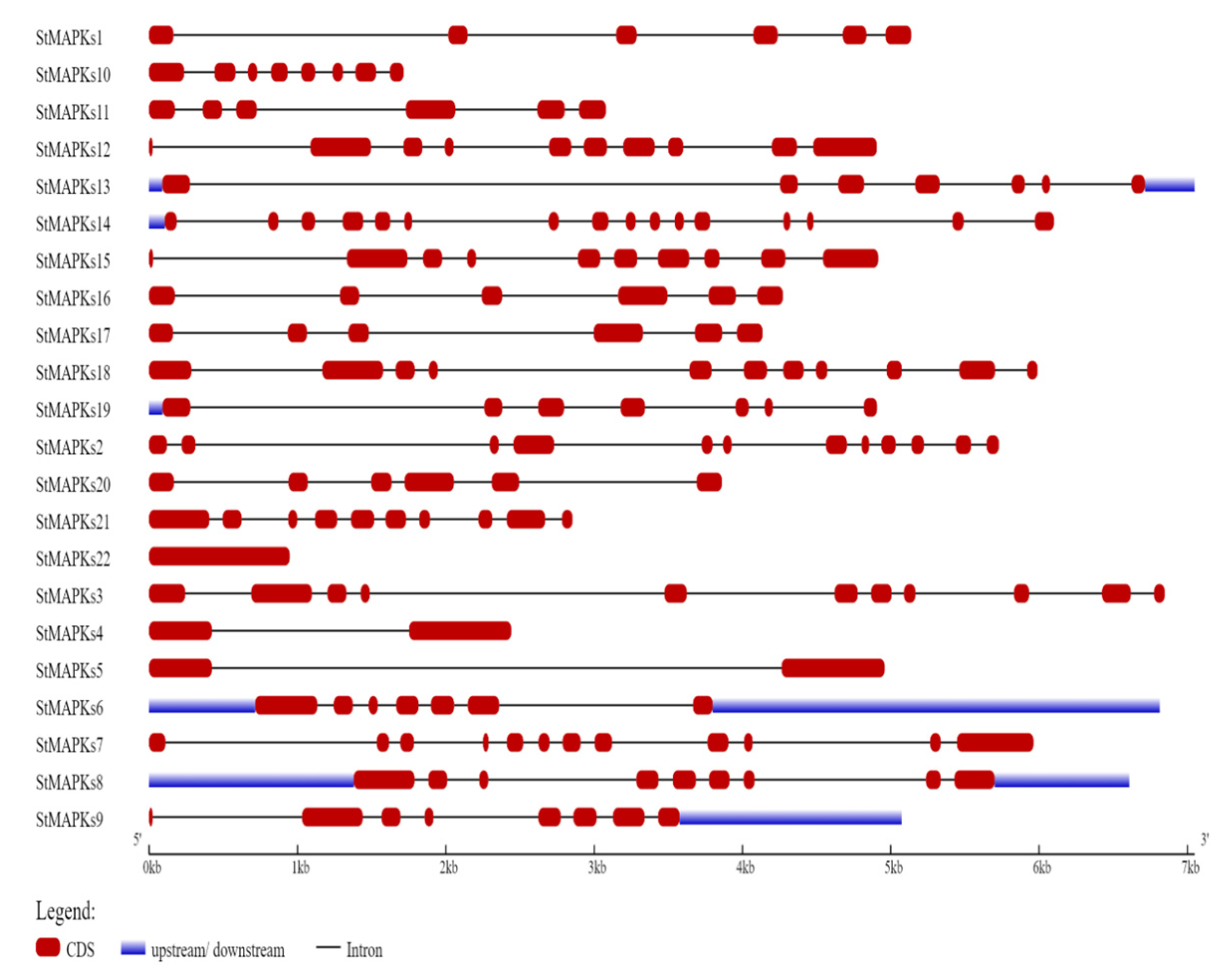 Plants 10 01371 g003