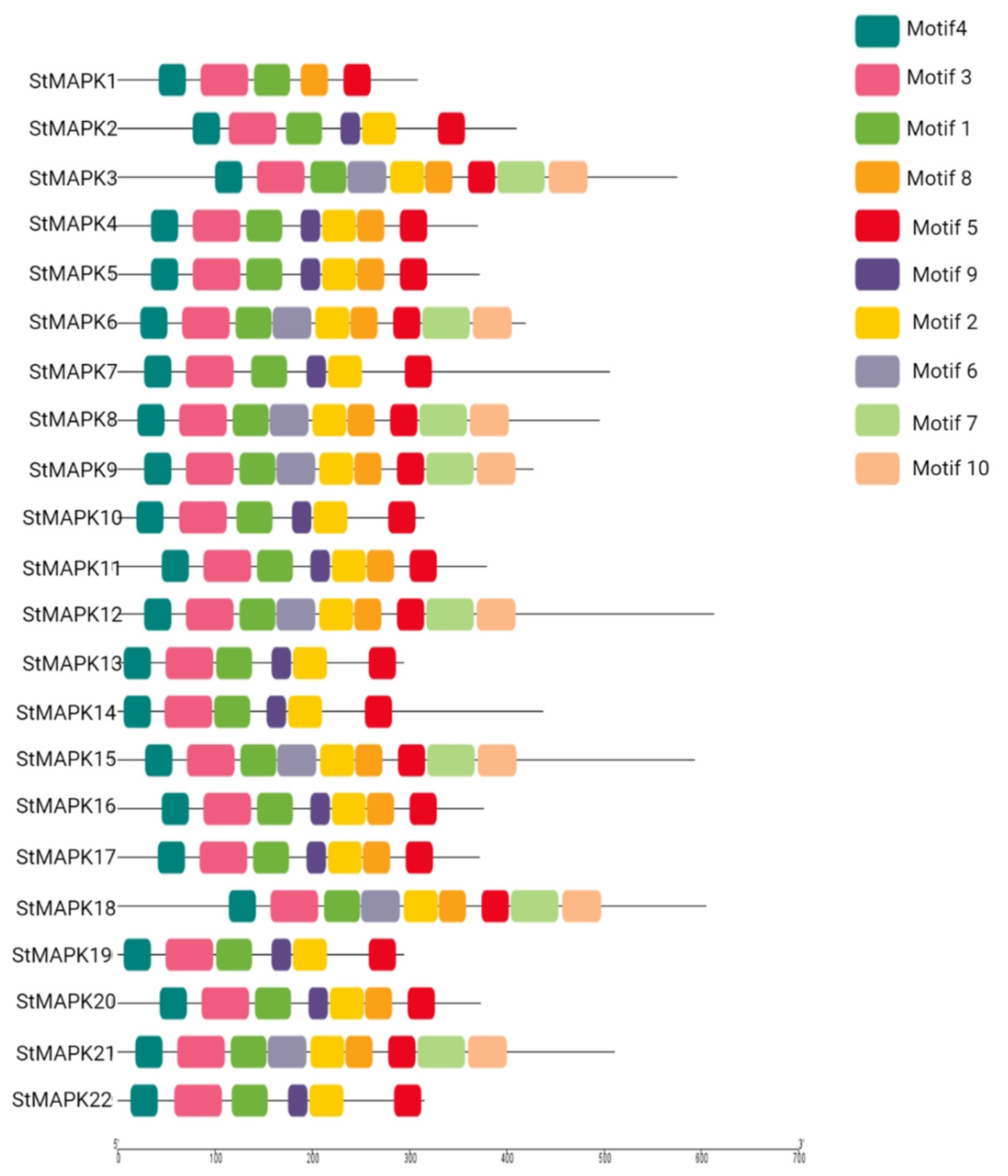 Plants 10 01371 g004