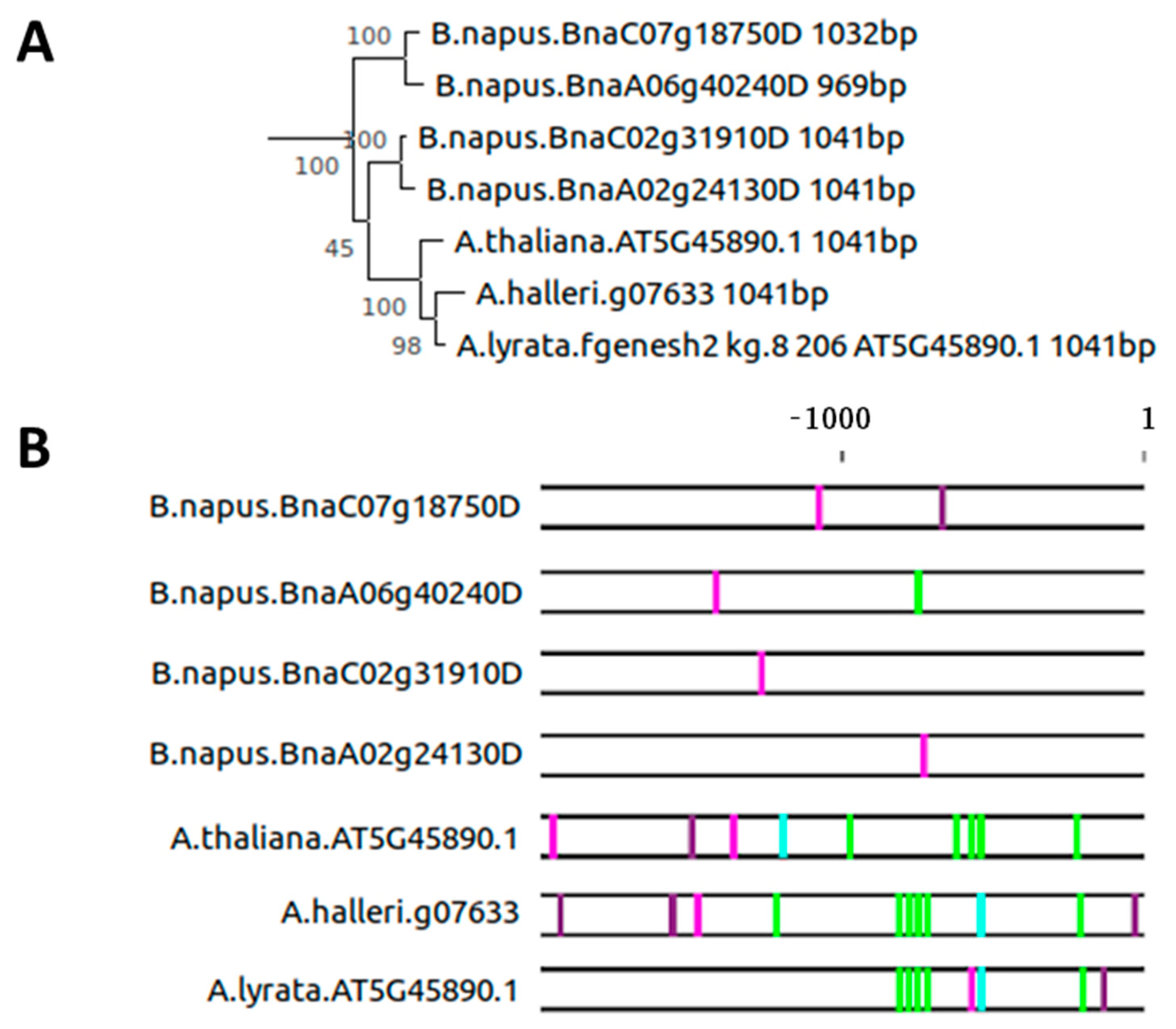 Plants 10 01380 g003