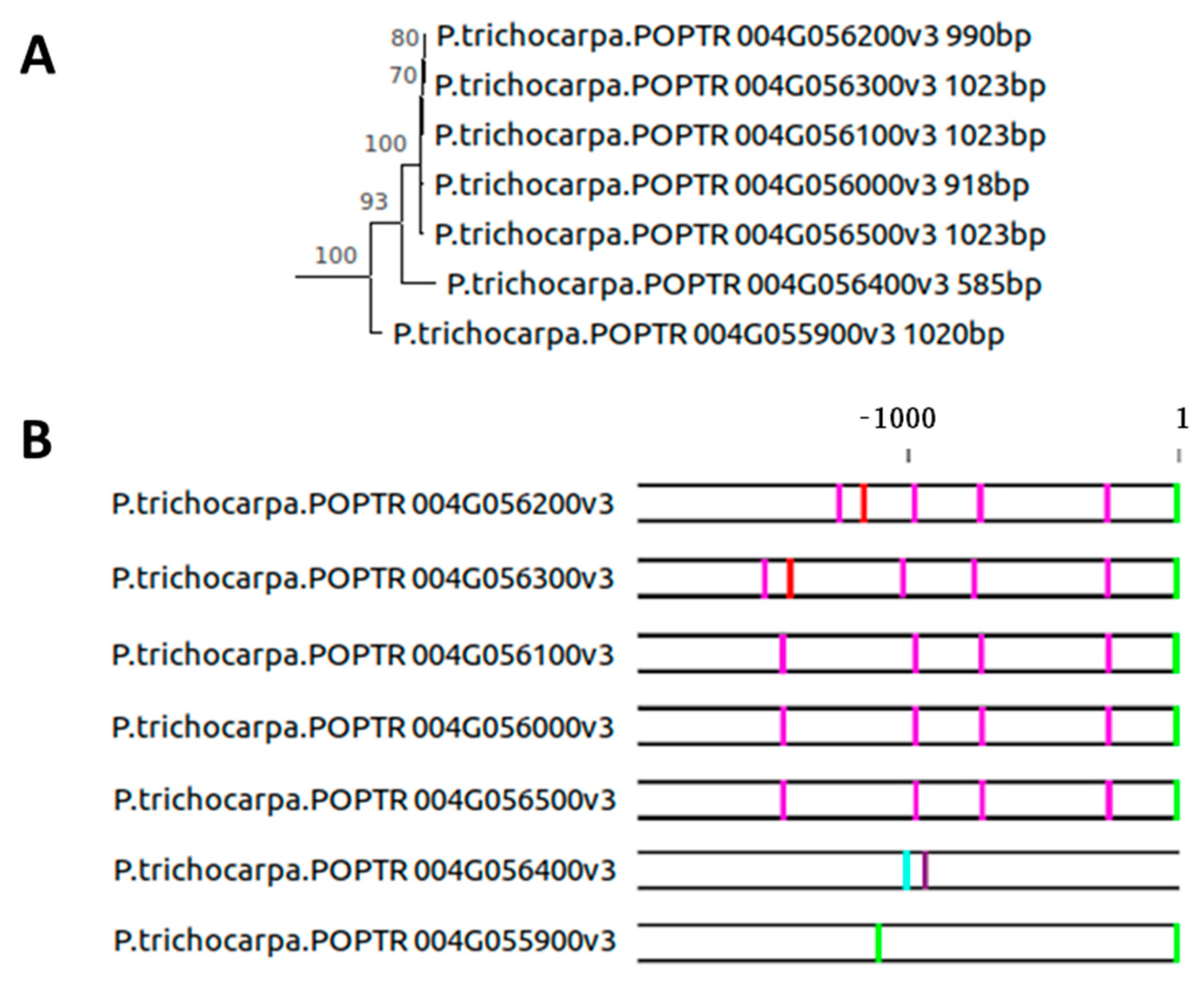 Plants 10 01380 g004