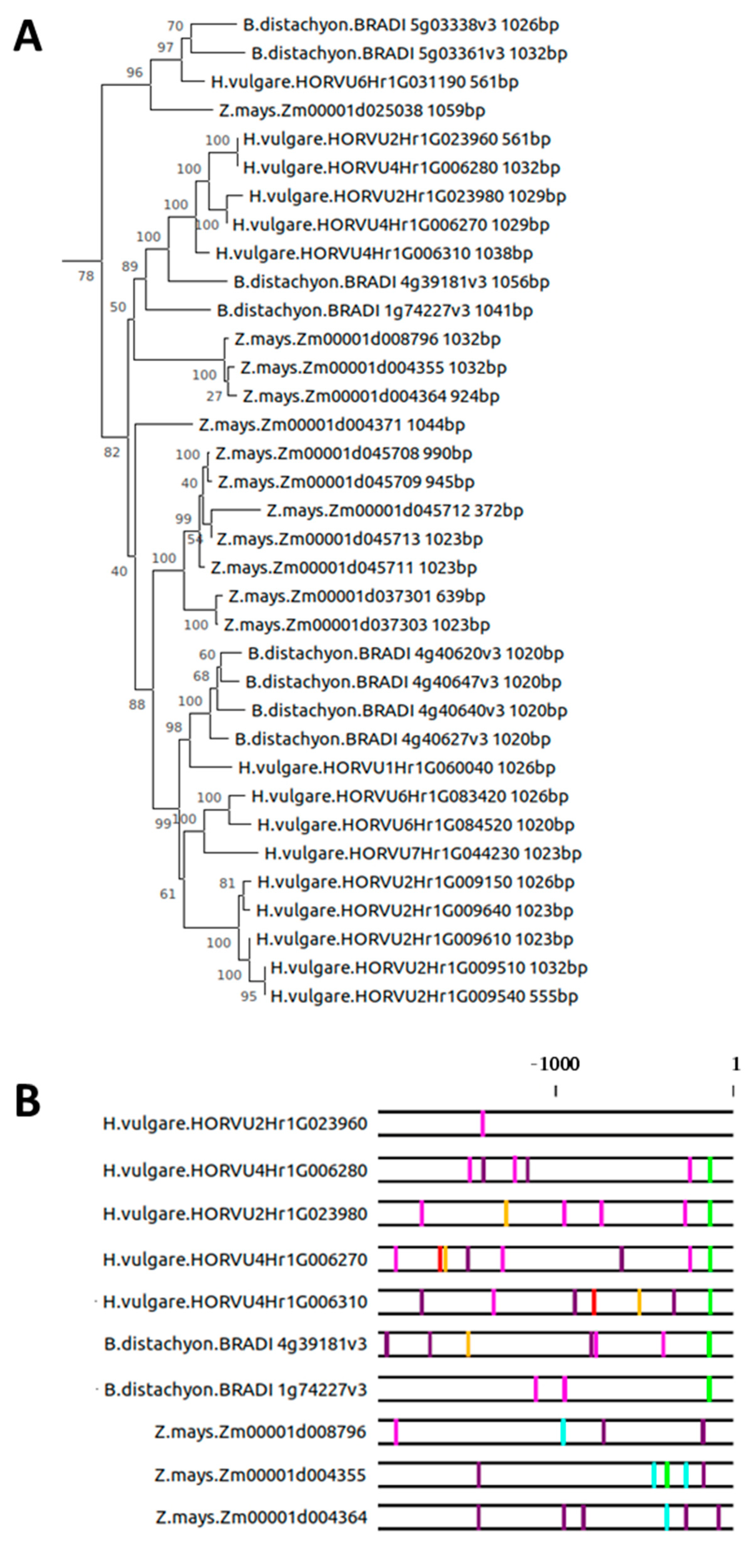 Plants 10 01380 g005