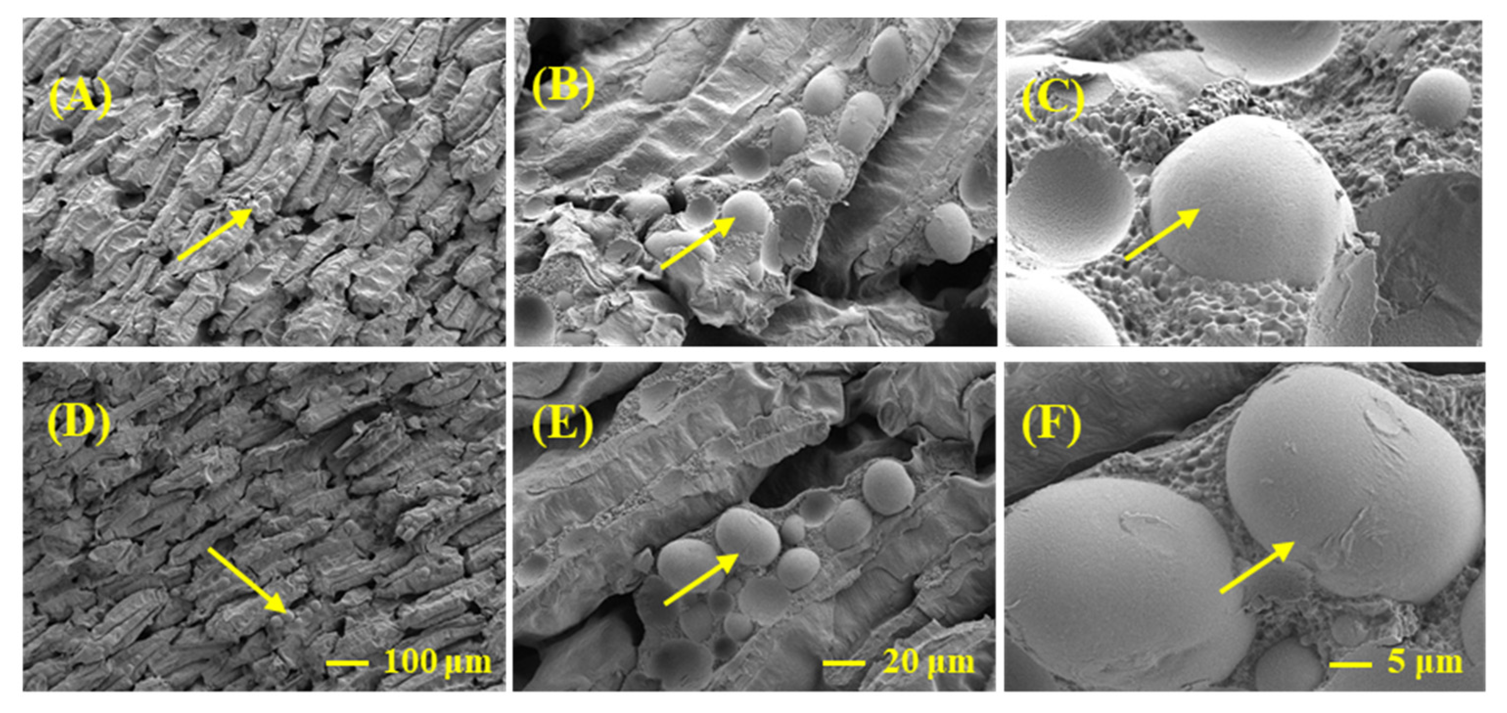 Plants 10 01385 g004