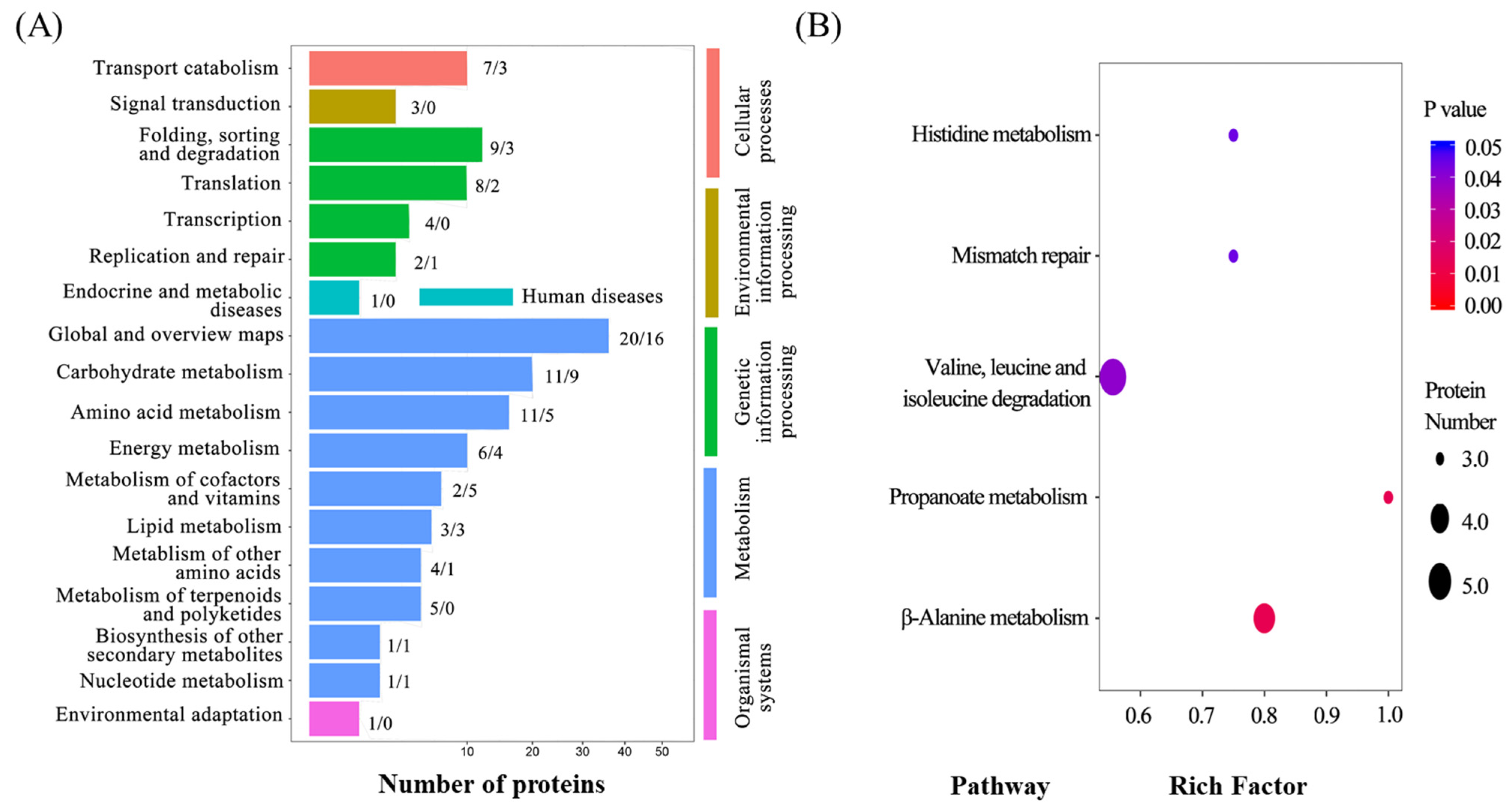 Plants 10 01385 g005
