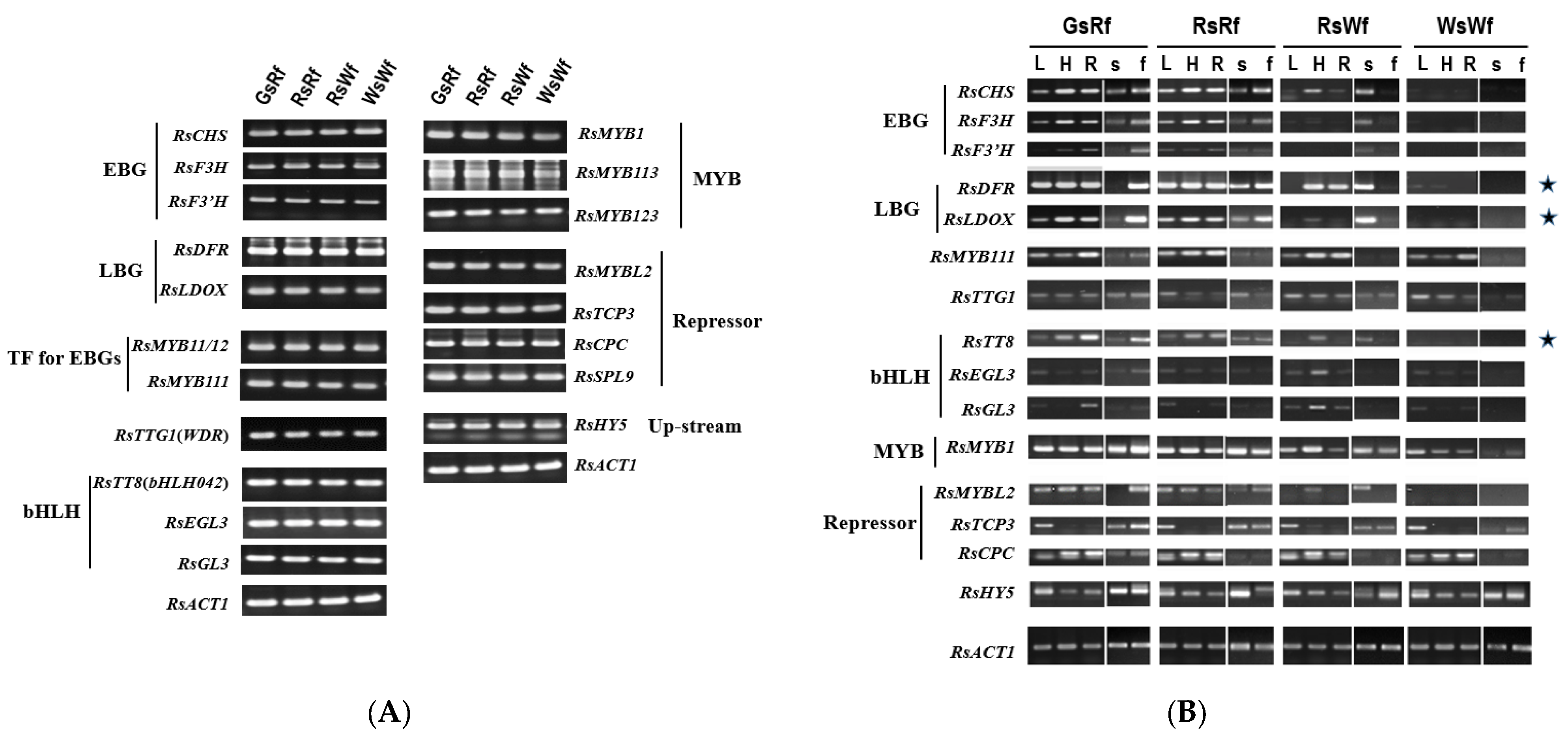 Plants 10 01386 g002