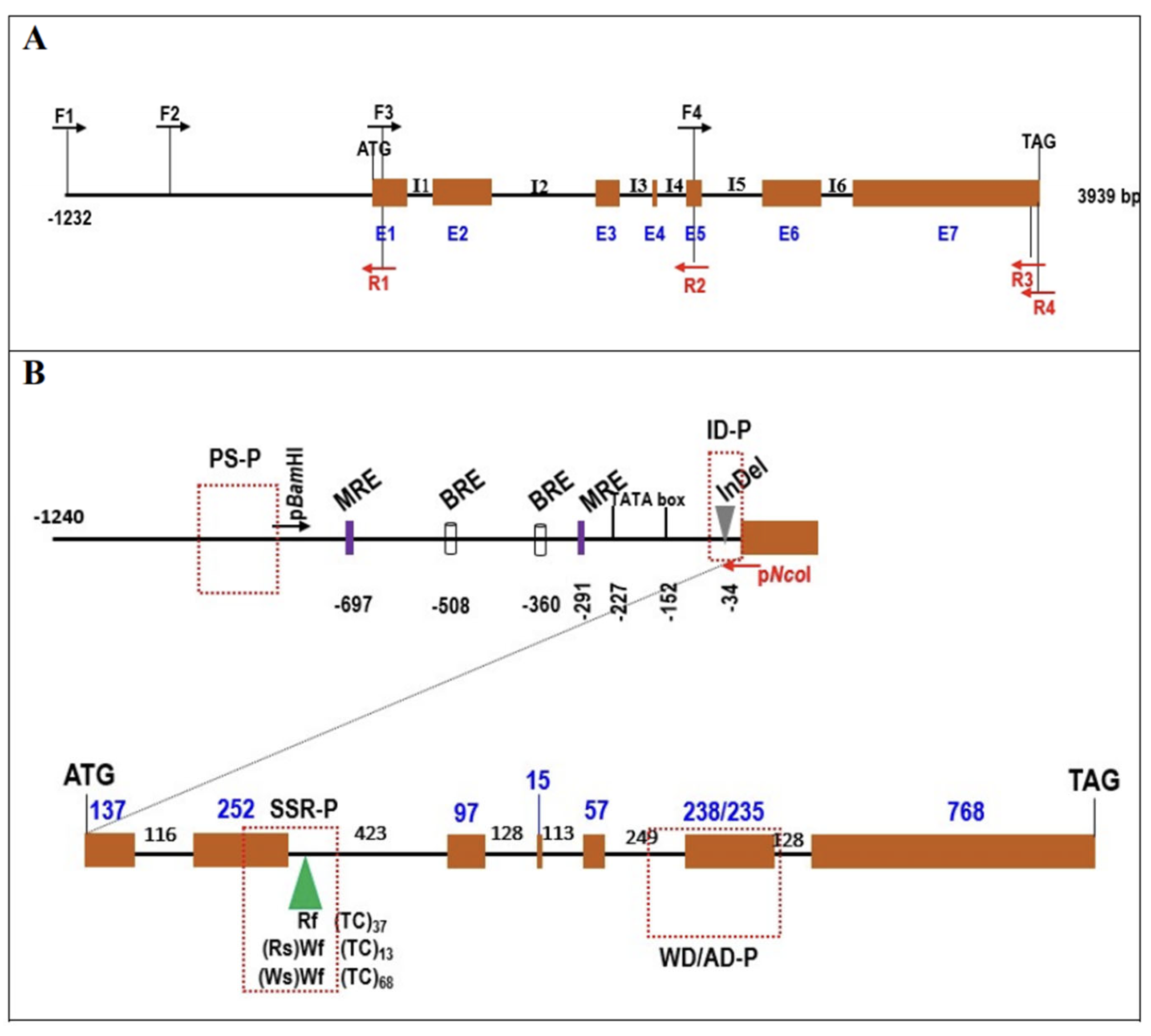 Plants 10 01386 g003