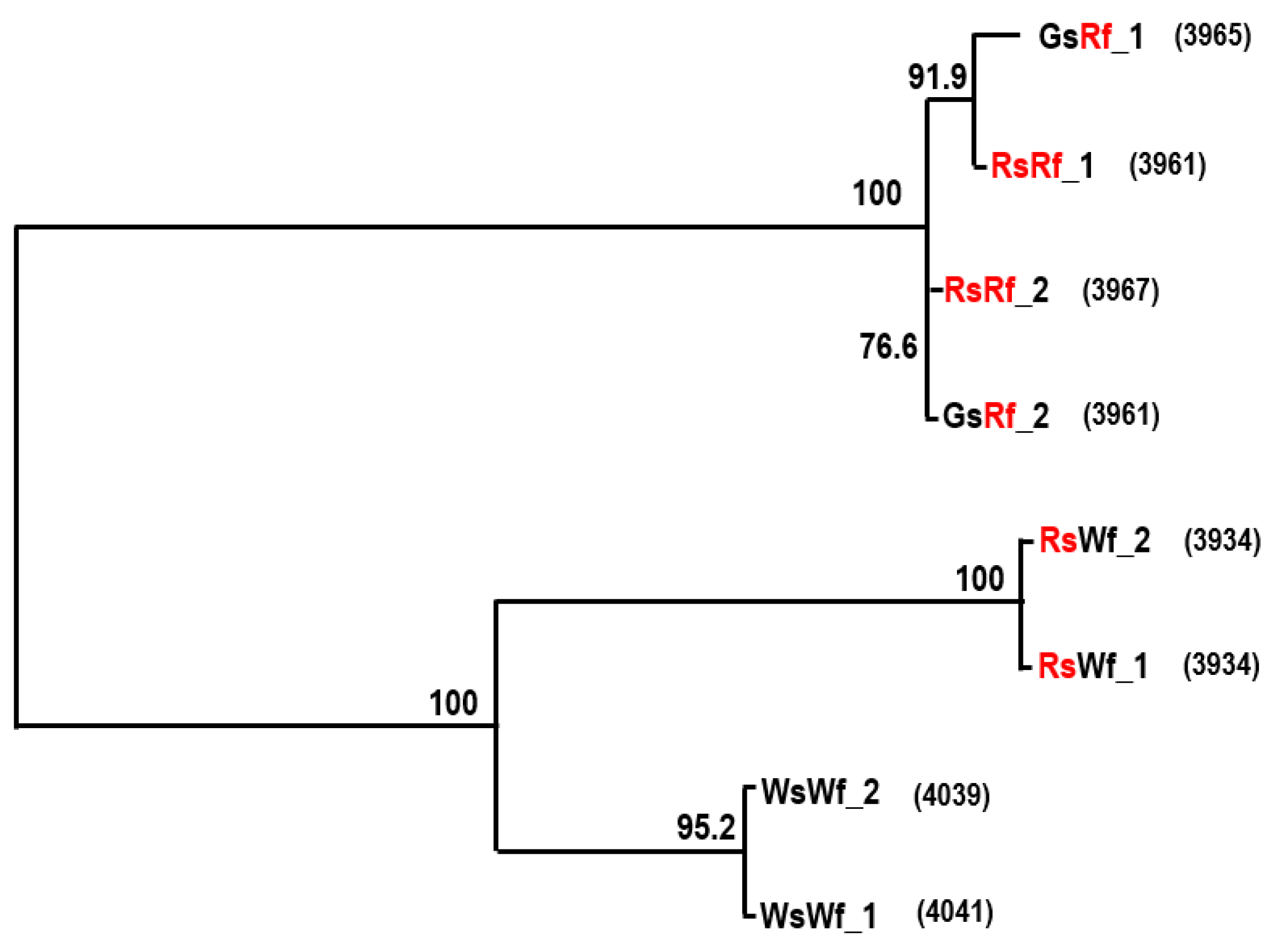 Plants 10 01386 g004