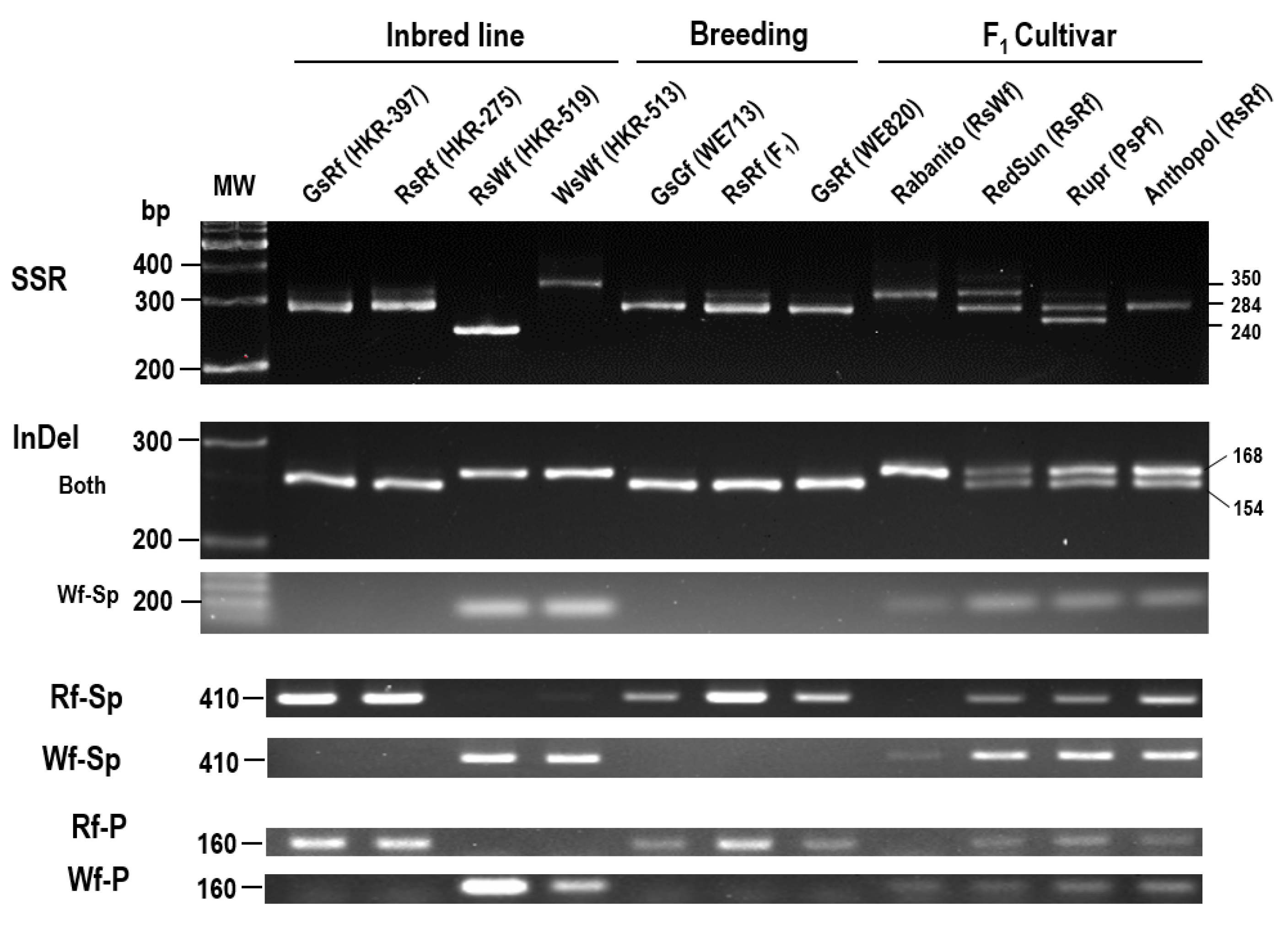 Plants 10 01386 g007