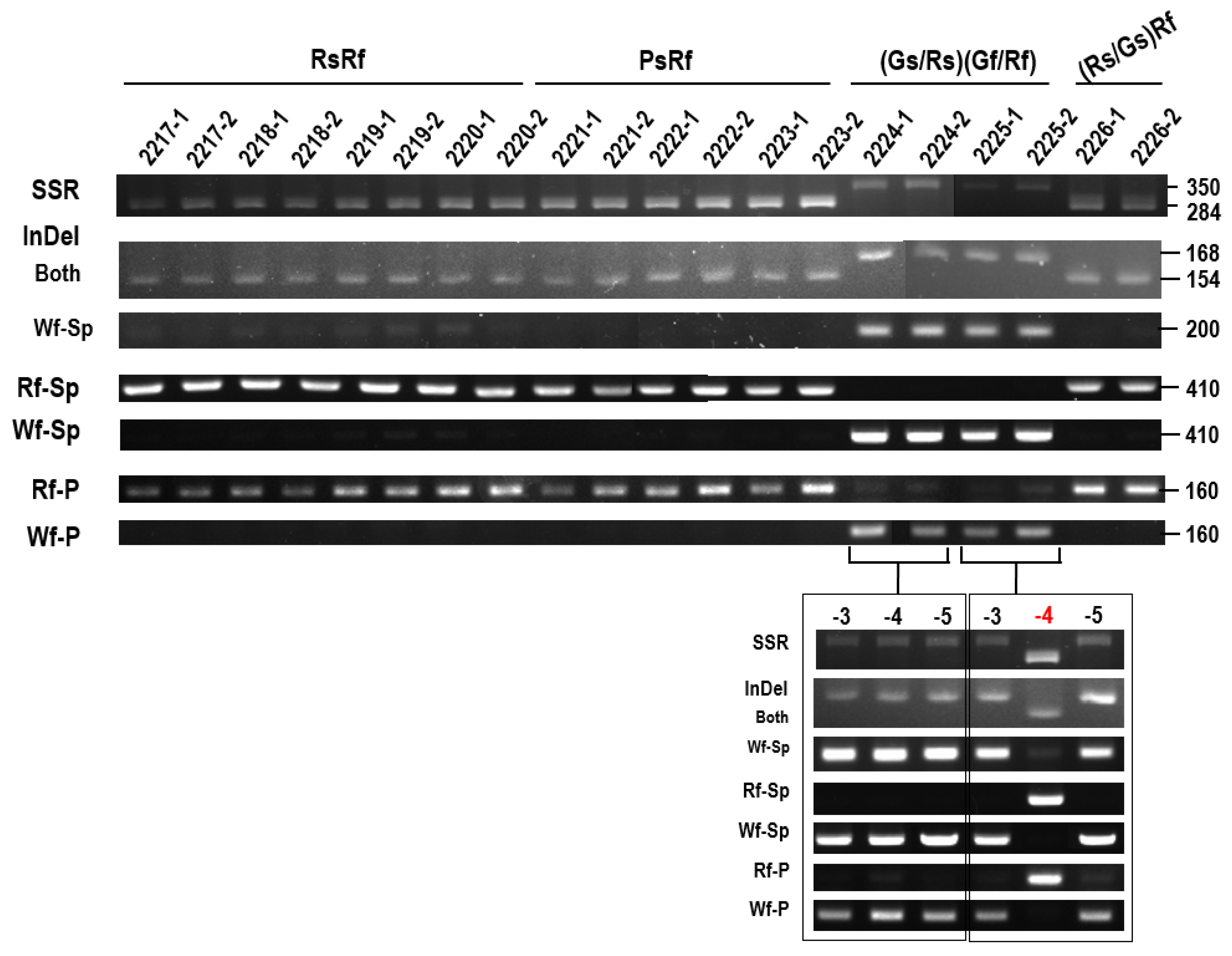 Plants 10 01386 g009