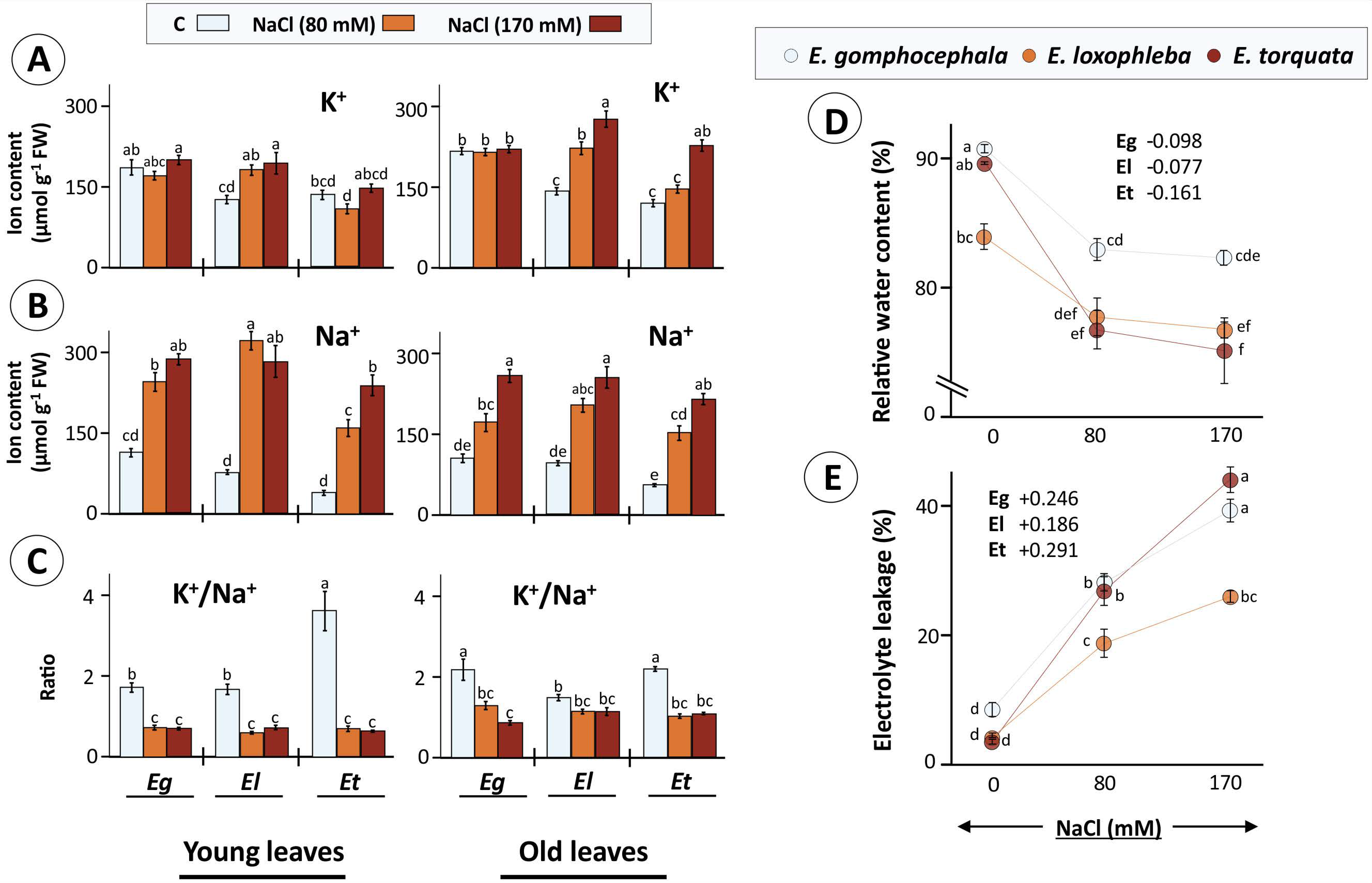 Plants 10 01401 g003