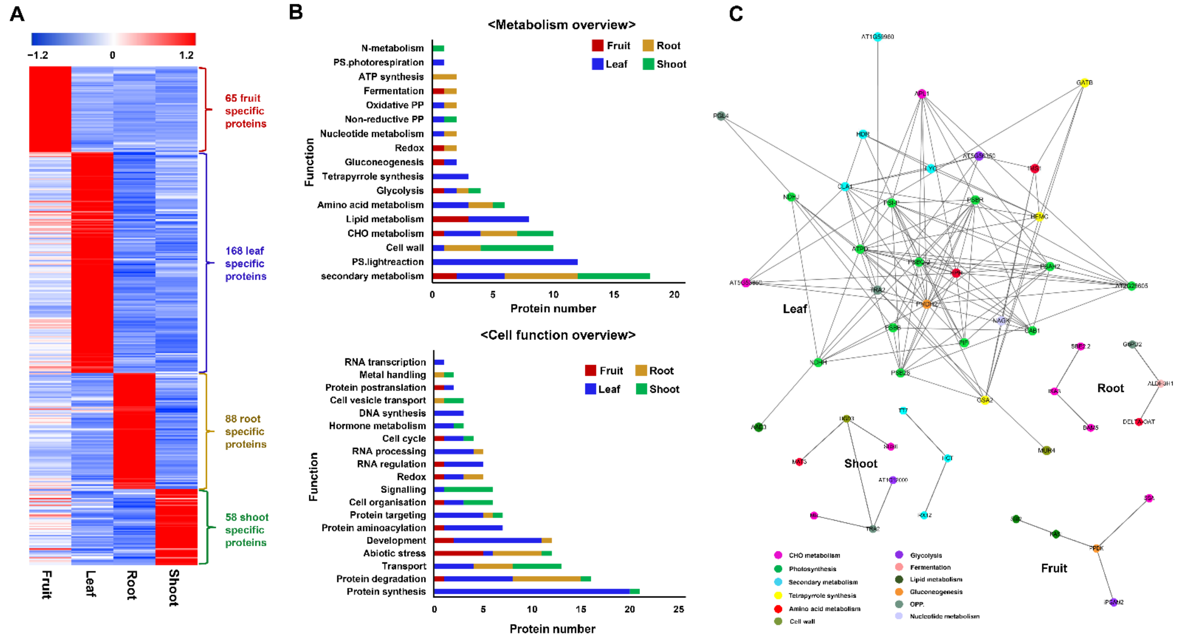 Plants 10 01409 g005