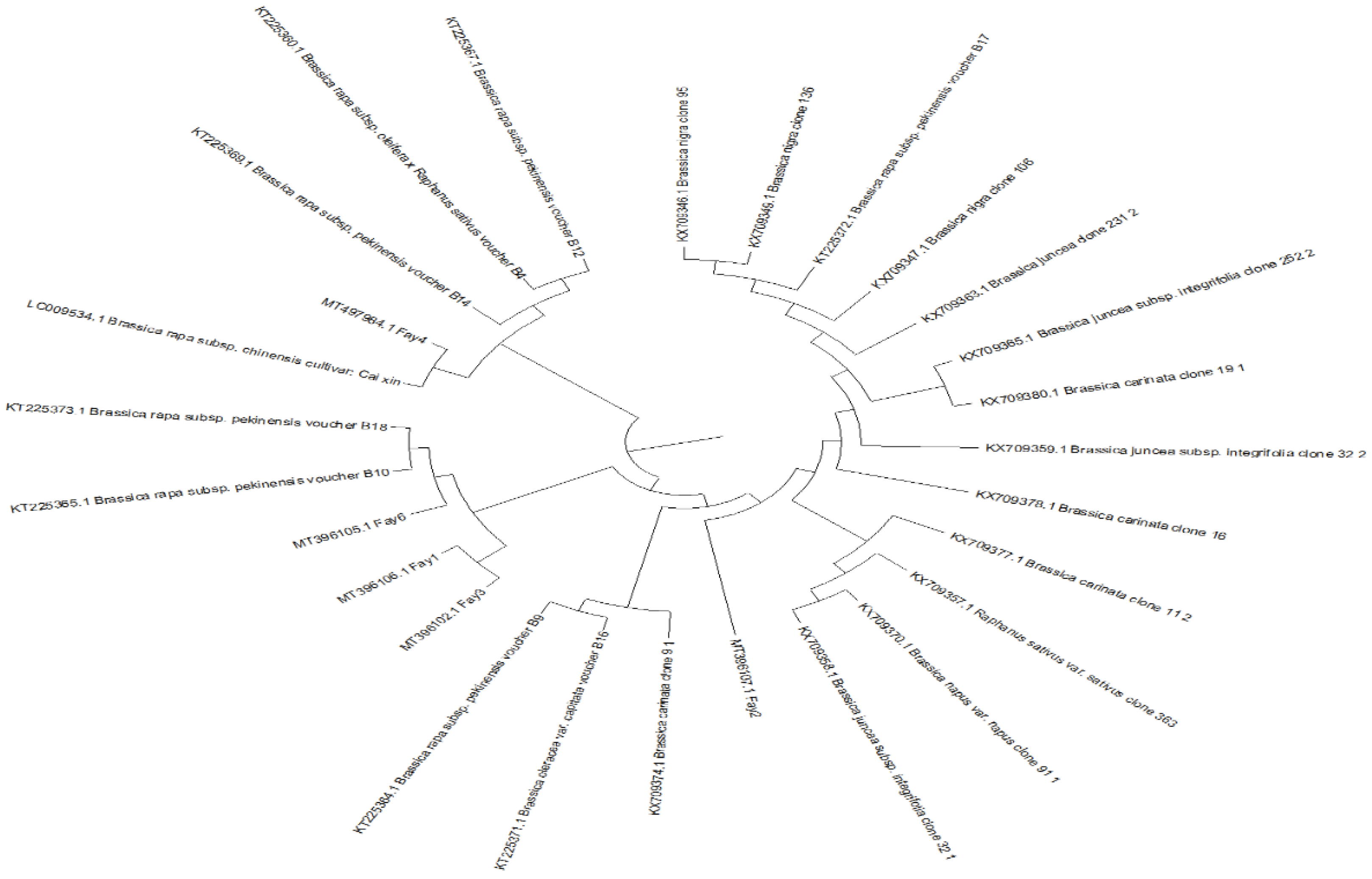 Plants 10 01431 g003